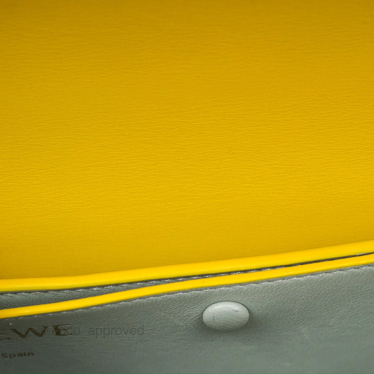 Loewe Small Goya Bag Yellow Silk Calfskin