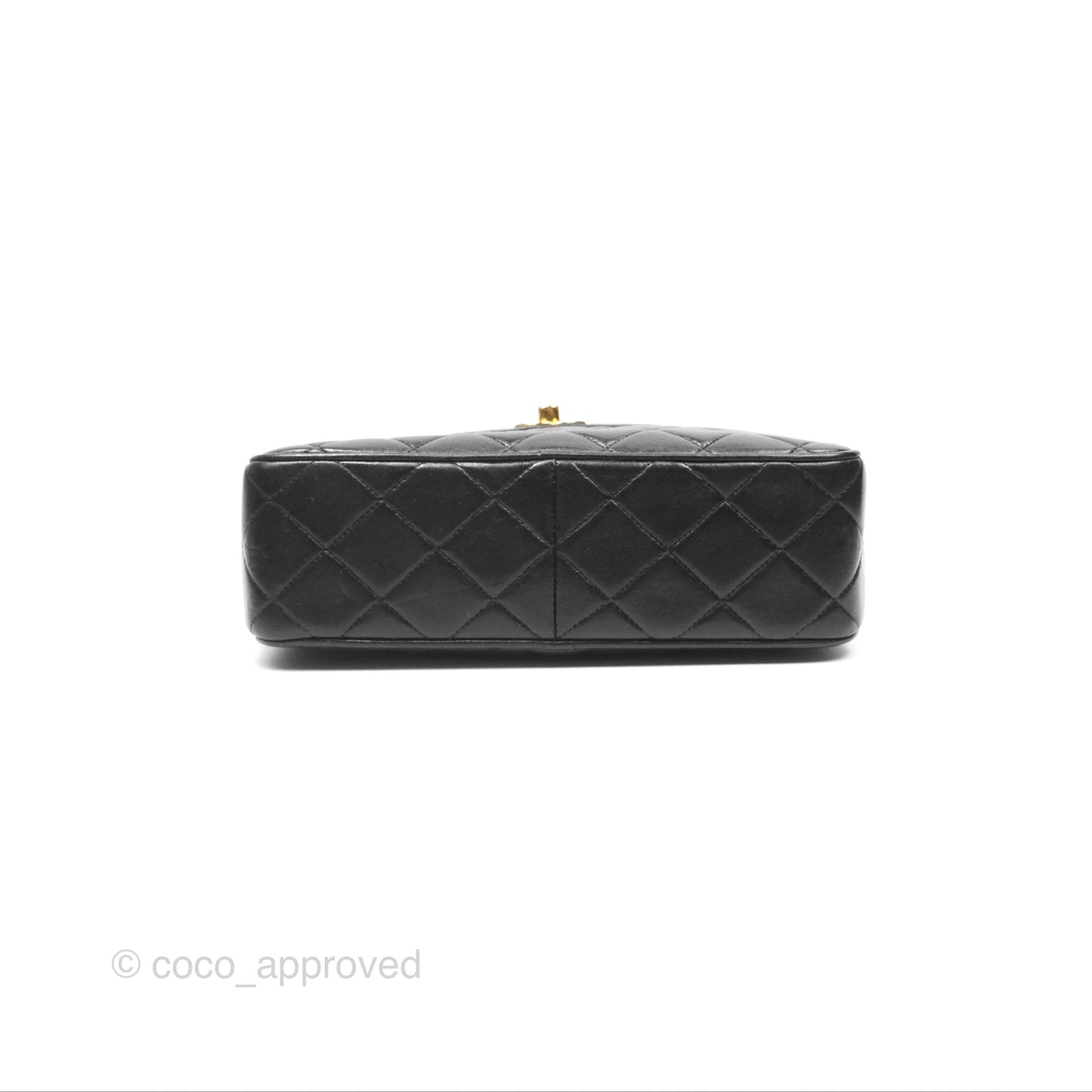 Chanel Vintage Diana Fringe Camera Bag Black Lambskin 24K Gold Hardware