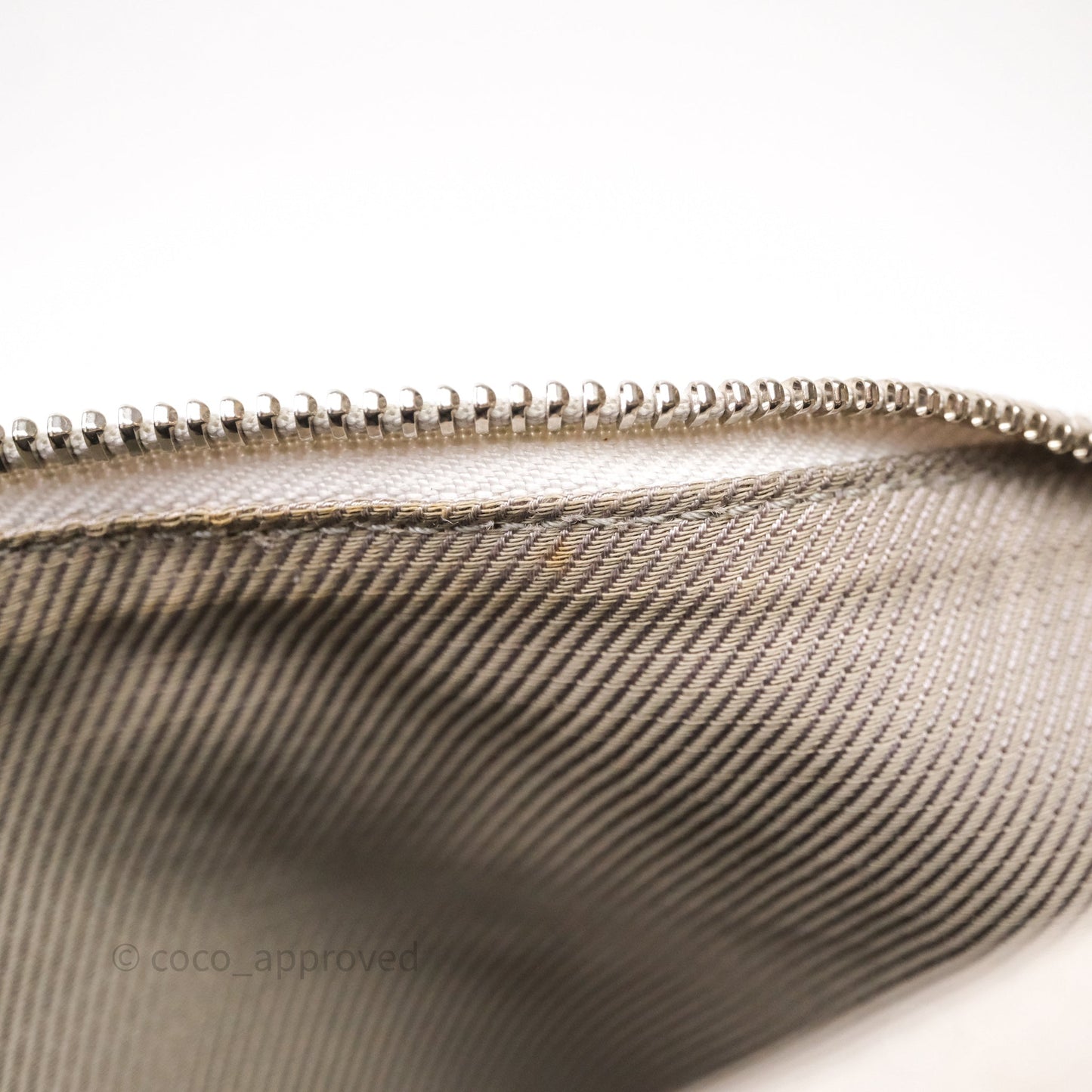 Louis Vuitton Monogram Shimmer Halo Bag Silver