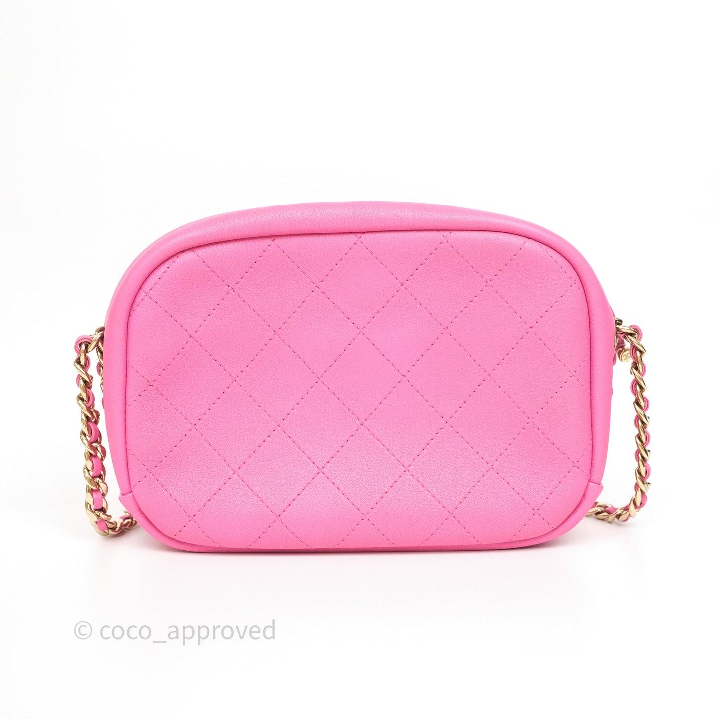 Chanel Camera Bag Pink Calfskin Aged Gold Hardware