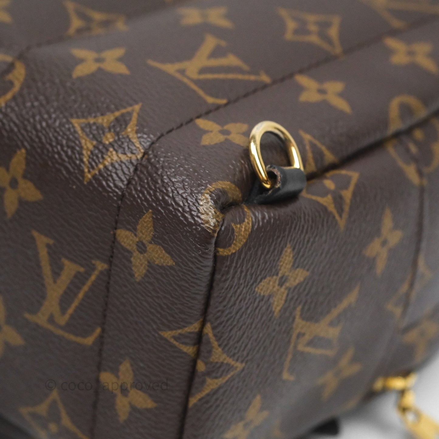 Louis Vuitton Mini Palm Springs Backpack⁣ Monogram