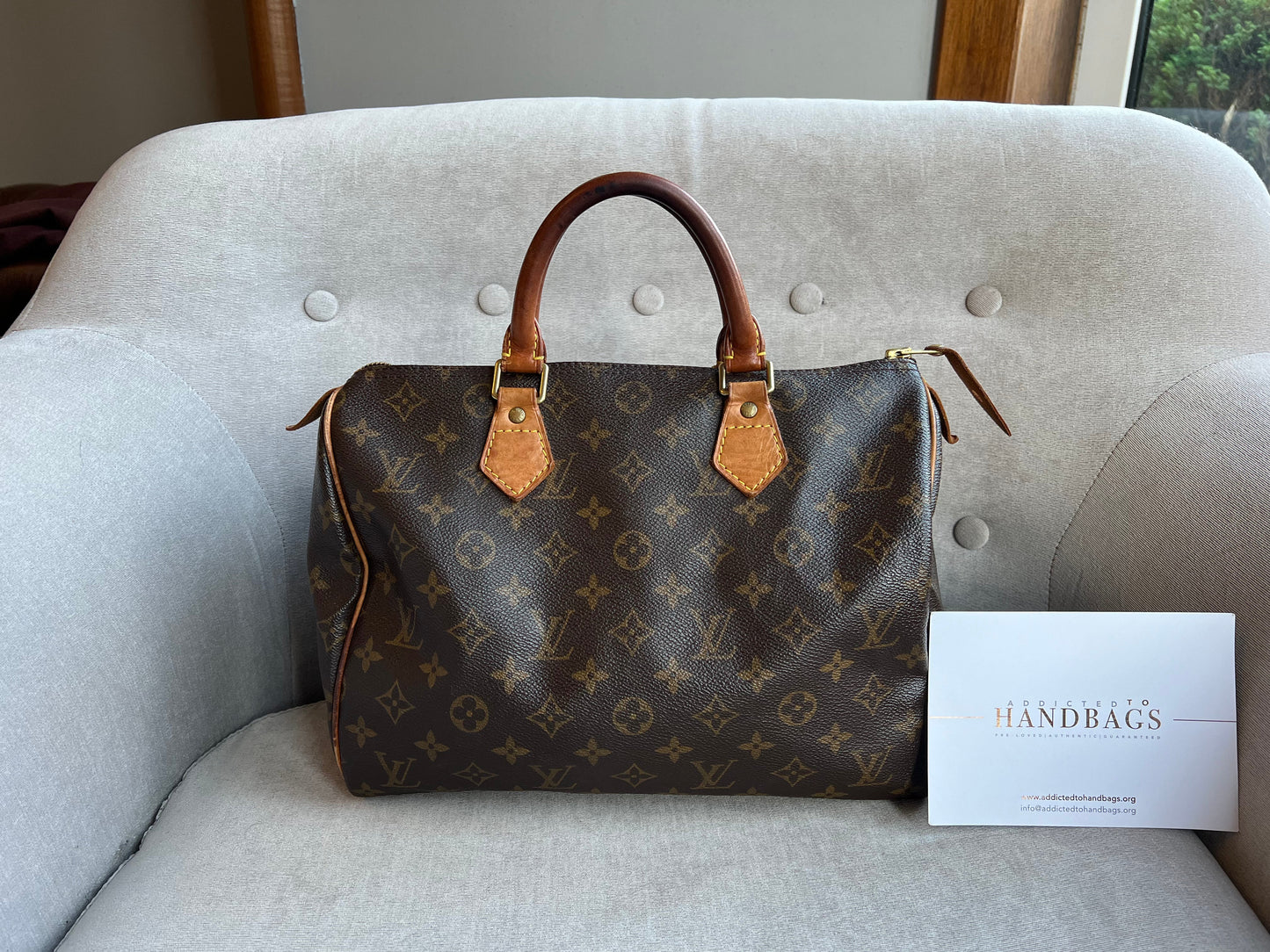 Louis Vuitton Speedy 30 Monogram