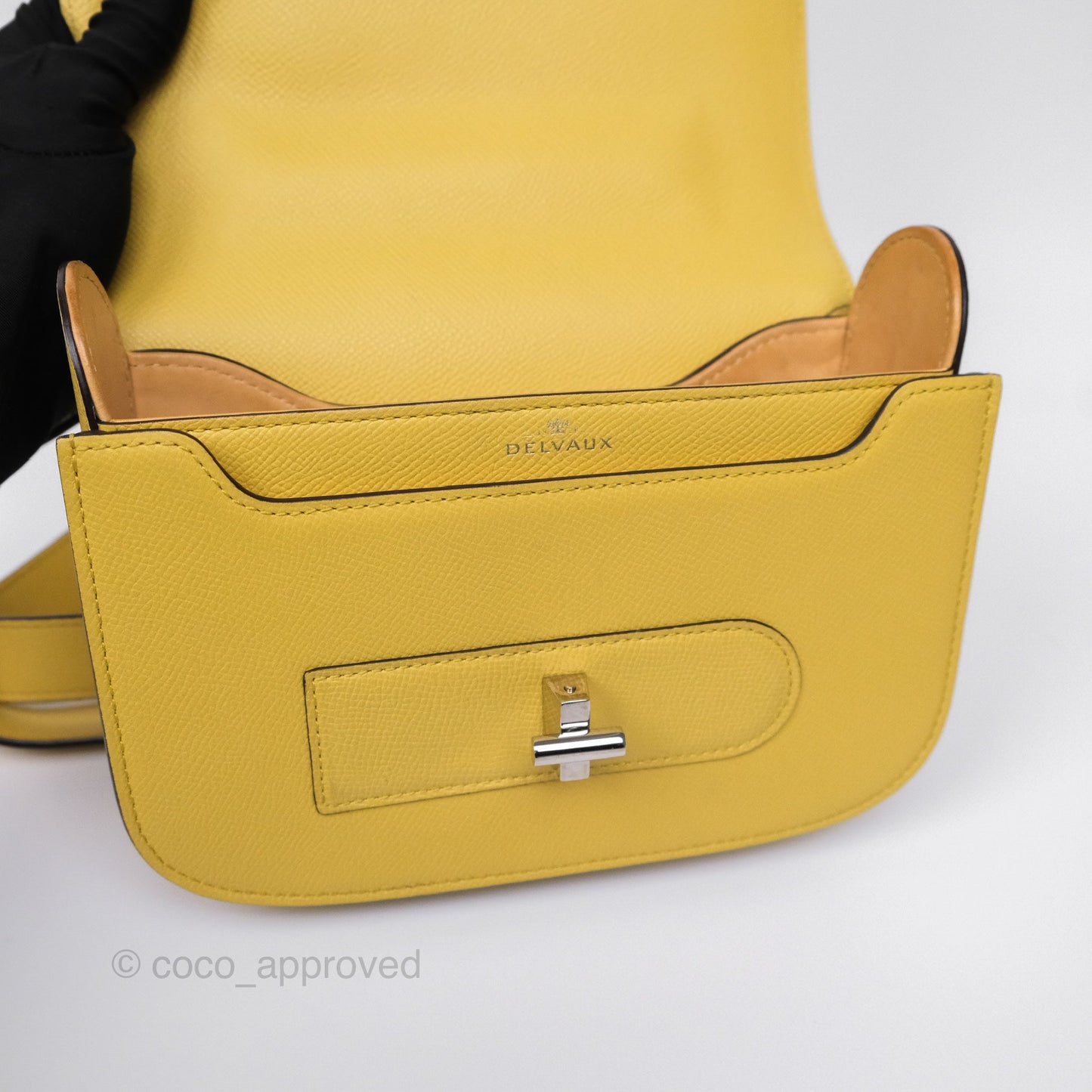 Delvaux Lingot Bag Pollen Alpina Calfskin