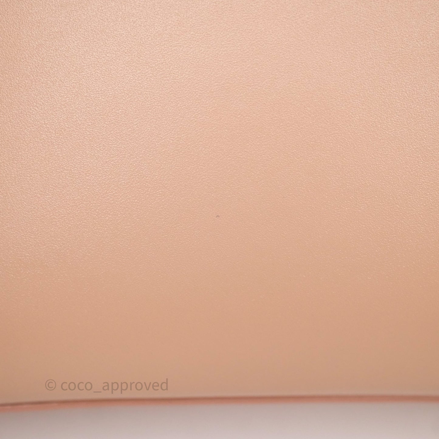 Loro Piana Extra Bag L27 Dark Pink Gold Hardware