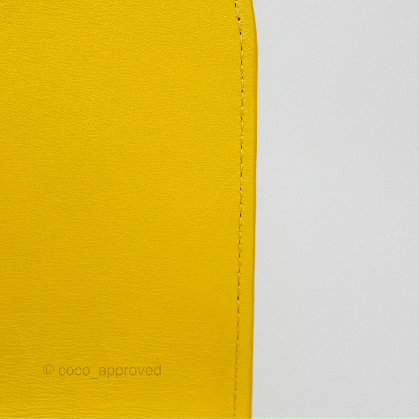 Loewe Small Goya Bag Yellow Silk Calfskin