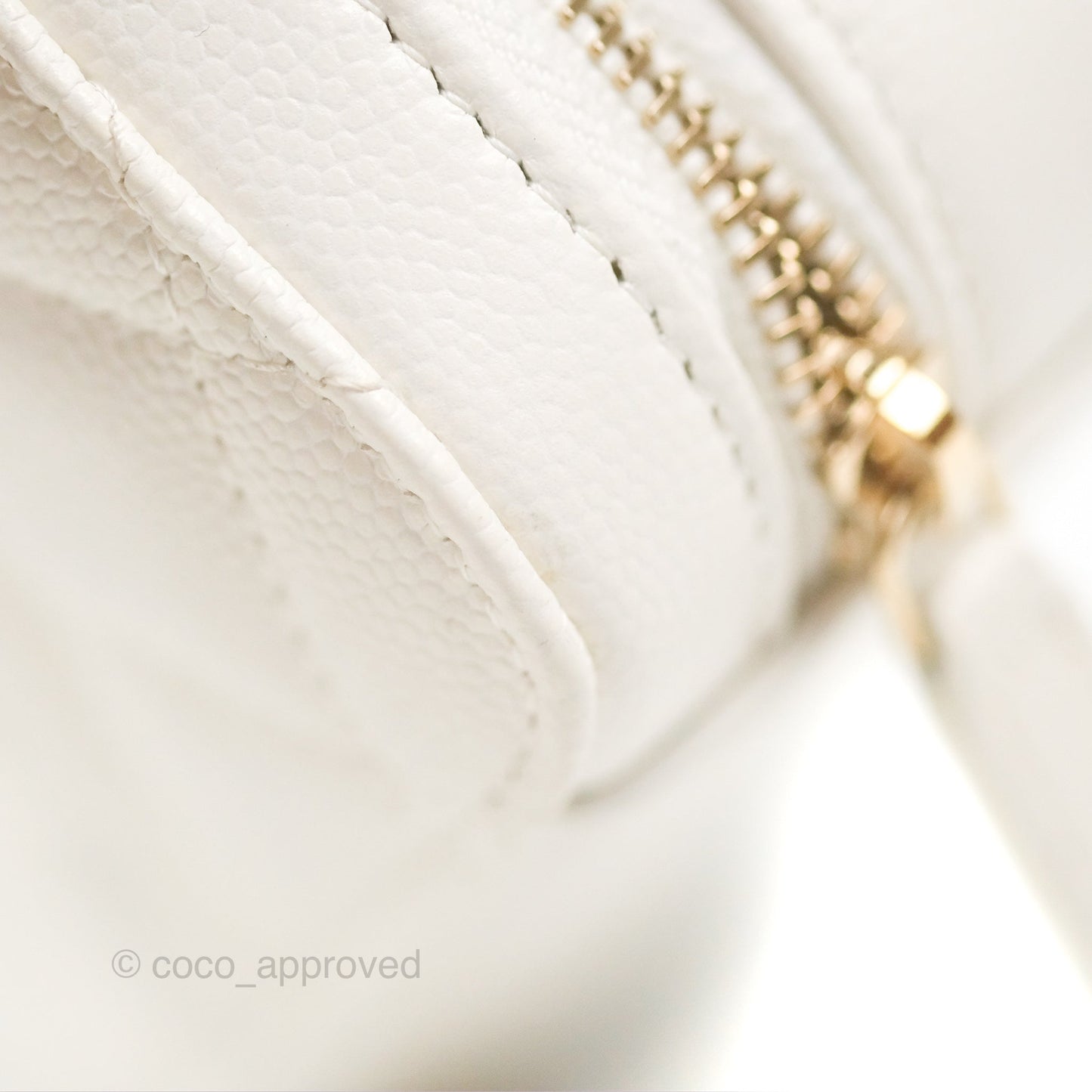 Chanel Mini Quilted Camera Case White Caviar Gold Hardware