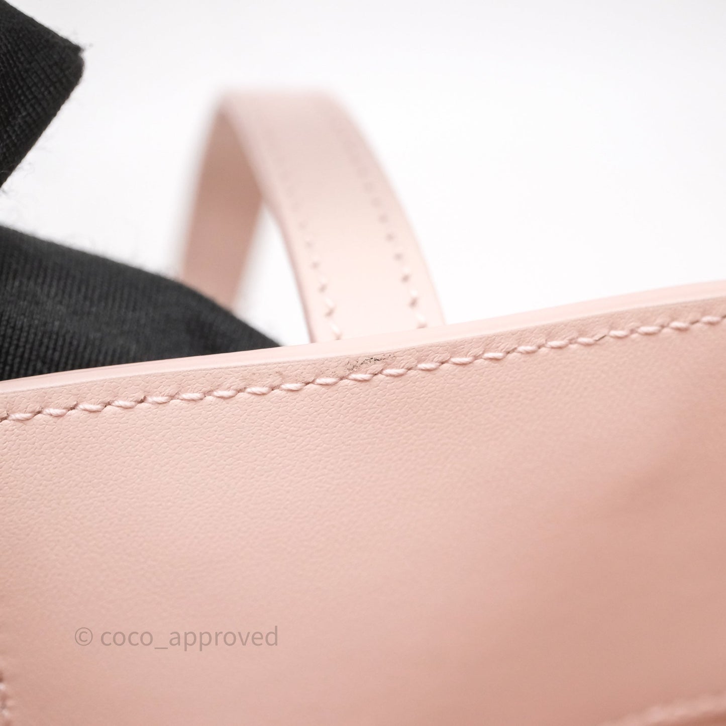 Christian Dior Toujours Vertical Nano Tote Bag Pink