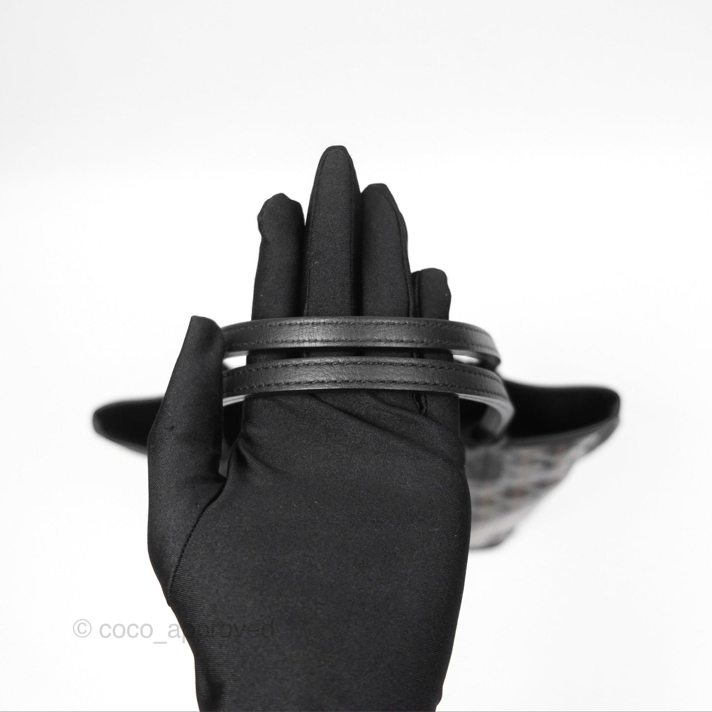 Goyard Anjou Mini Bag Goyardine Canvas Black