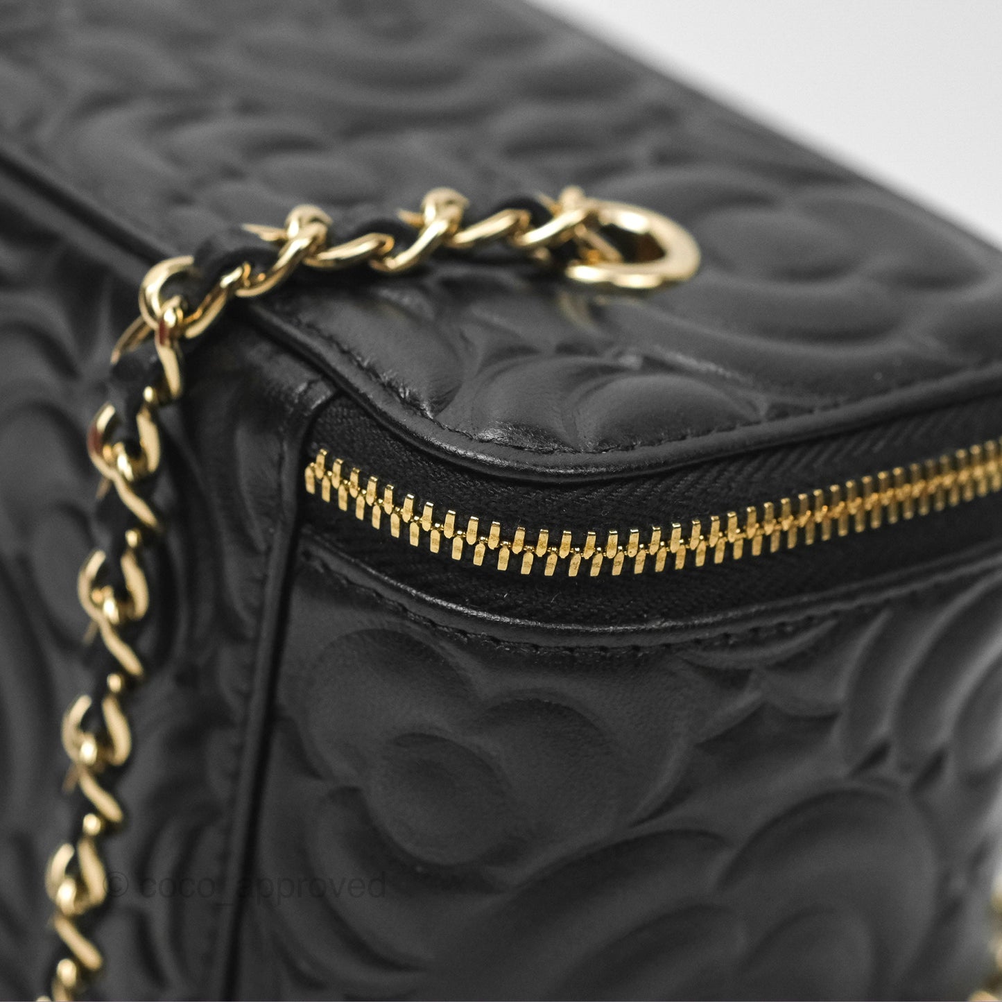 Chanel Vanity Rectangular Camellia Embossed Black Lambskin Gold Hardware 21S