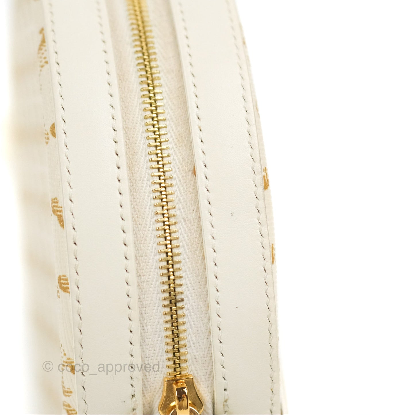 Celine Round Purse on Strap Triomphe Canvas White Calfskin
