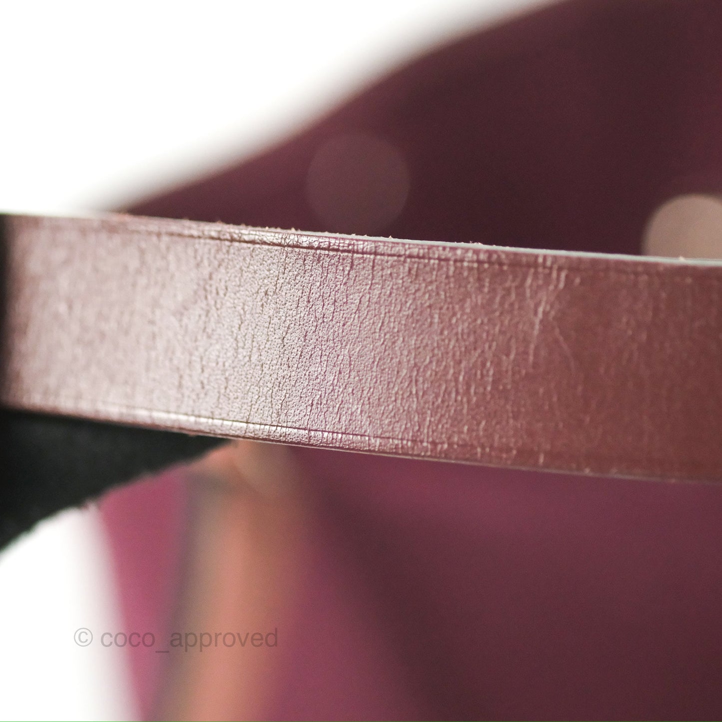 Hermès Cabag Elan Bag Purple Canvas