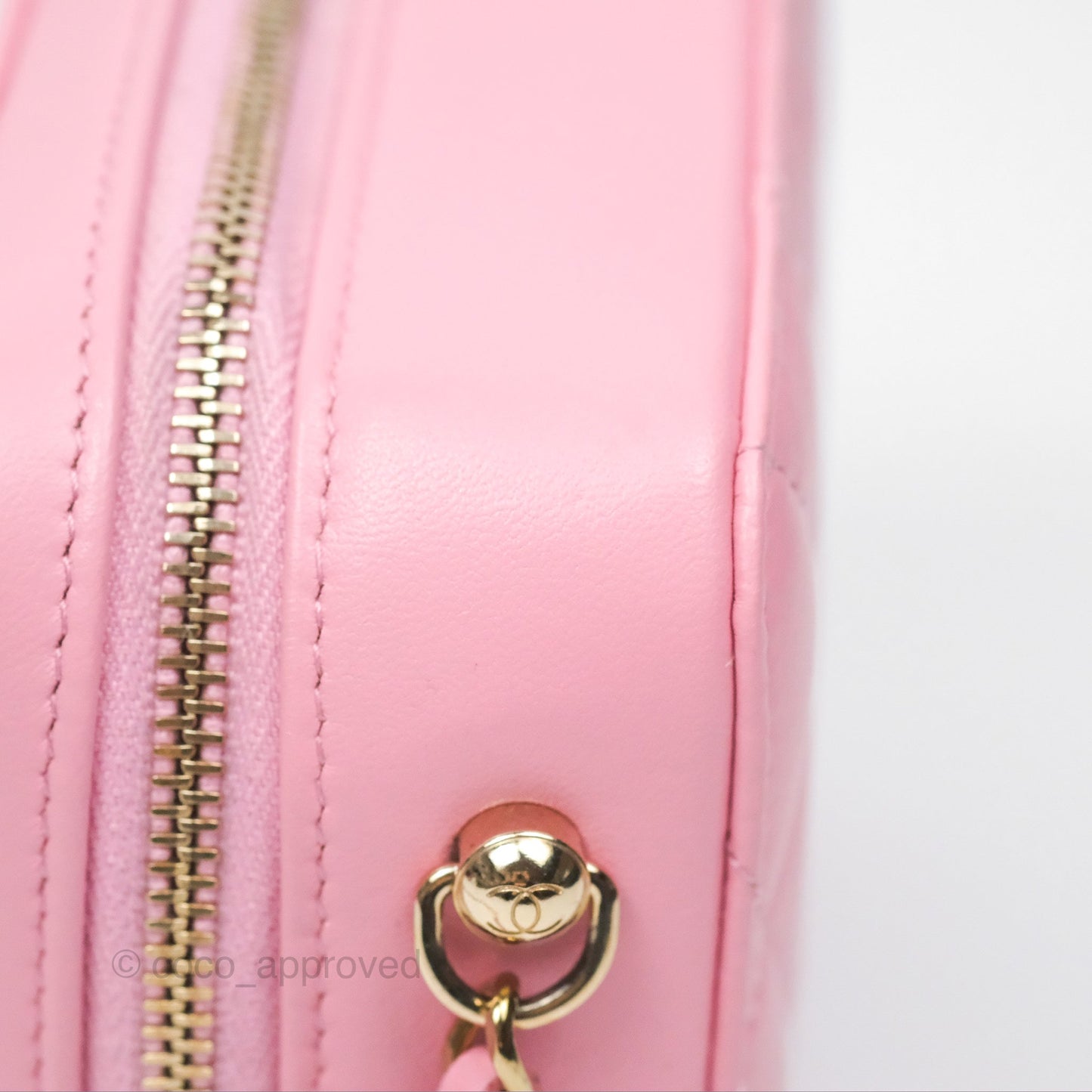 Chanel Camera Case Quilted Pink Lambskin Gold Hardware