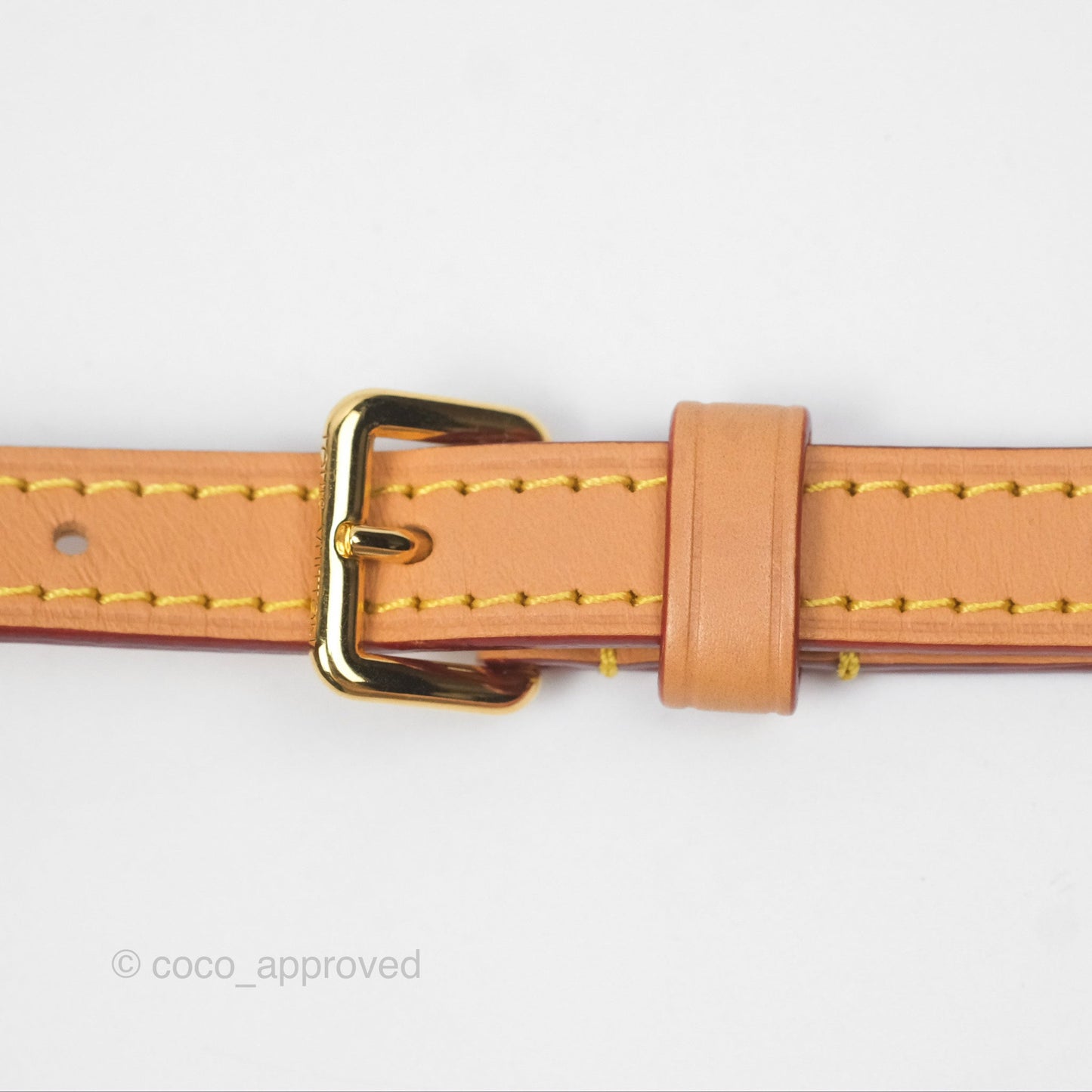 Louis Vuitton Nano Speedy Monogram