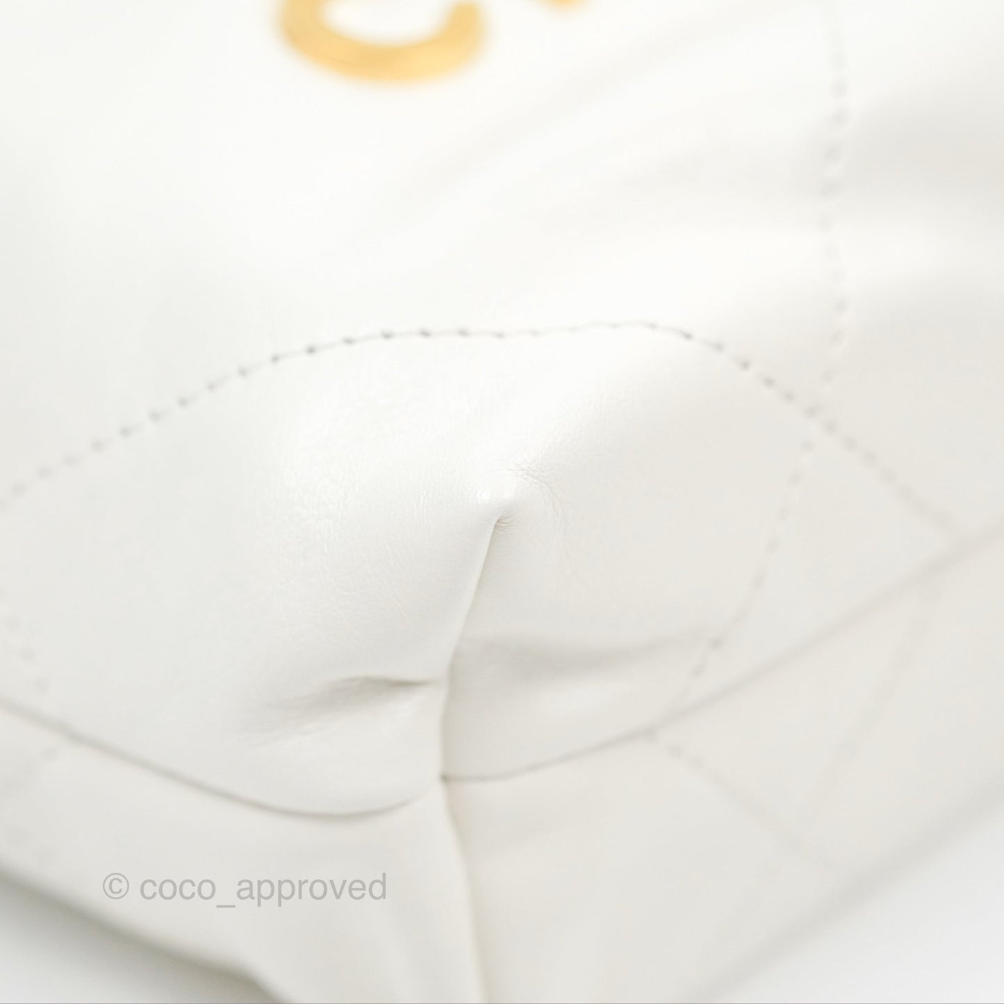 Chanel 22 Mini Bag White Crumpled Calfskin