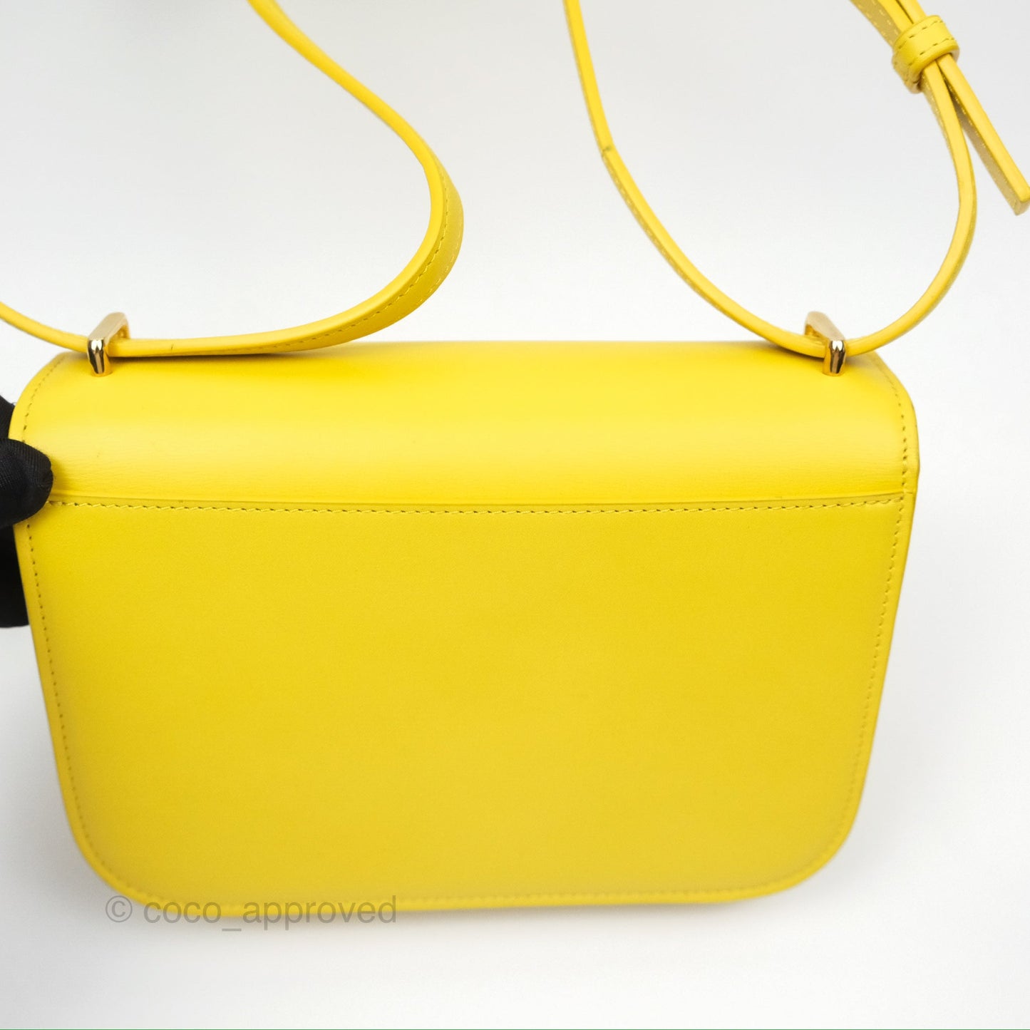 Loewe Small Goya Bag Yellow Silk Calfskin