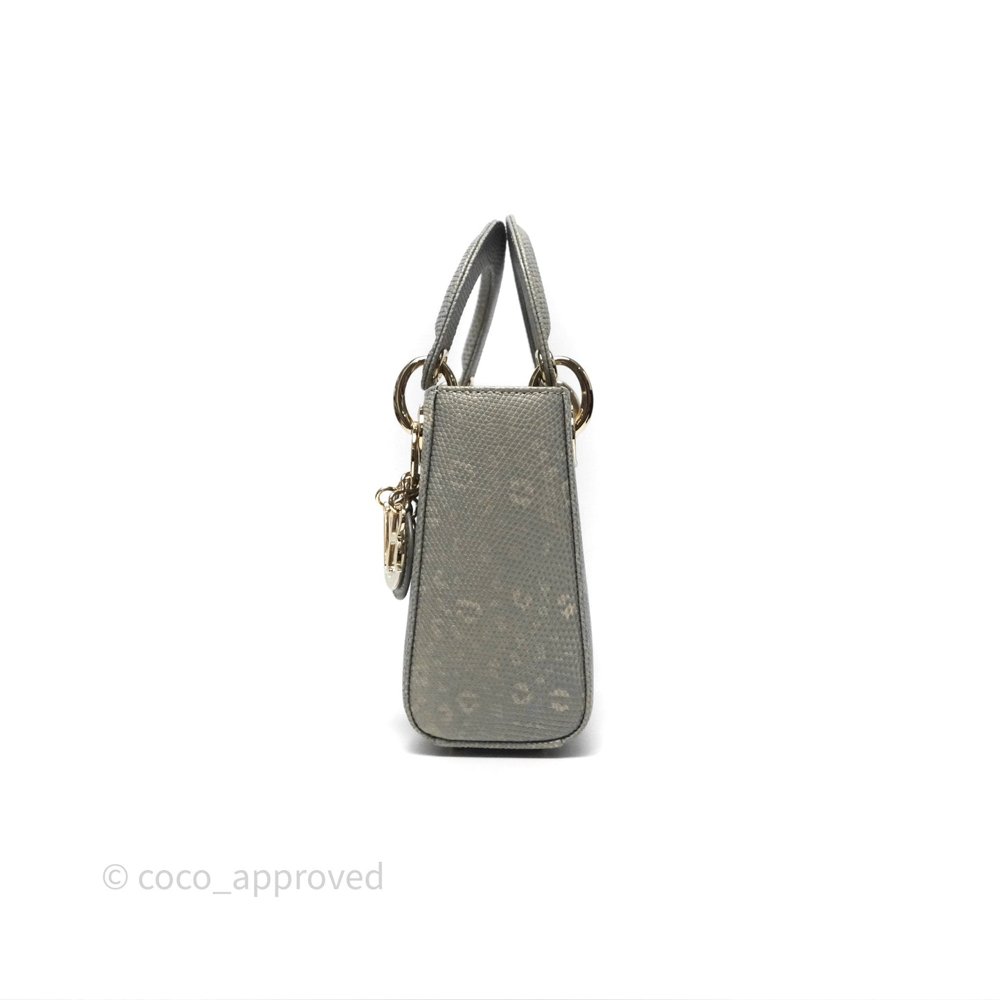 Dior Mini Lady Dior Ombre Grey White Lizard Gold Hardware