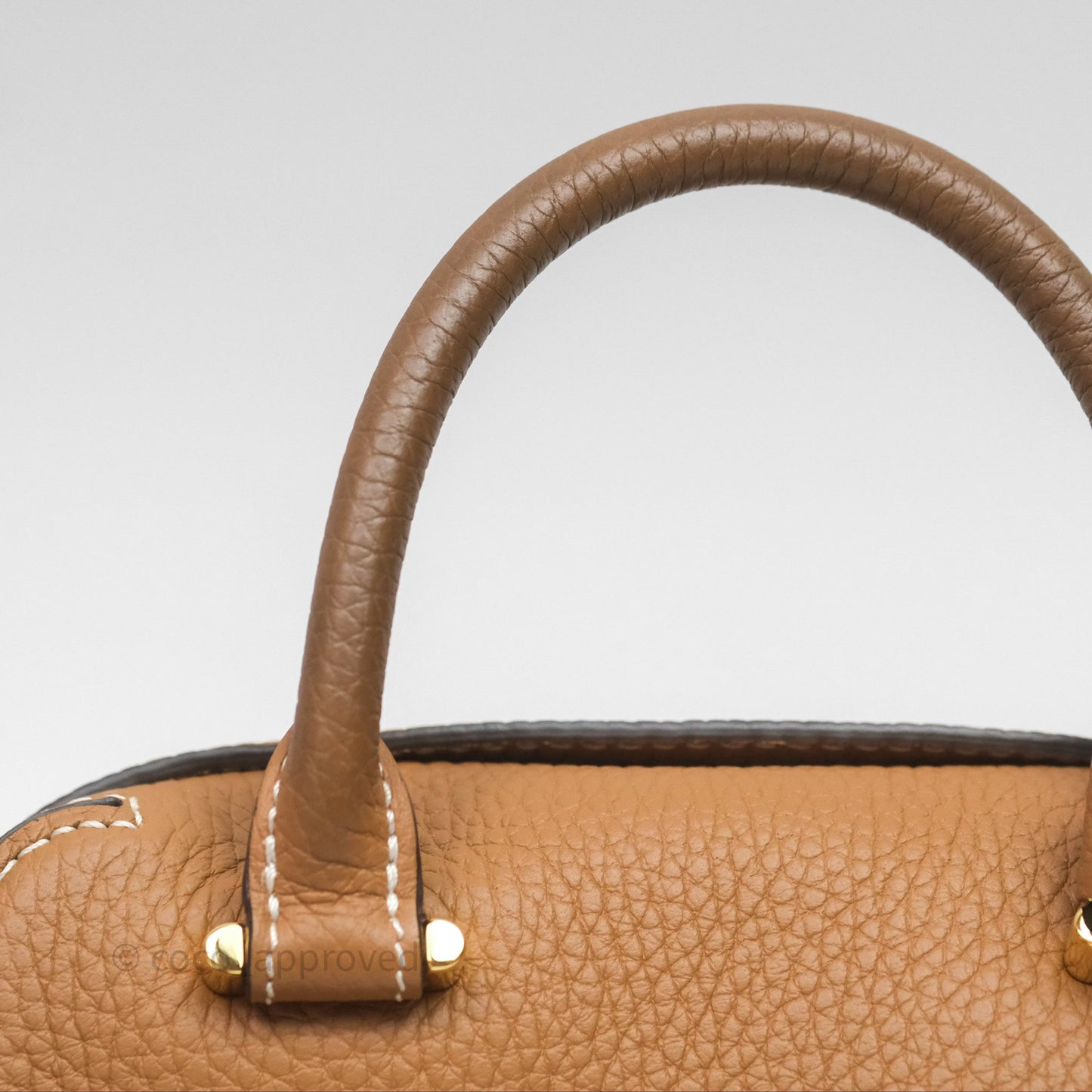 Delvaux Cool Box Nano Taurillon Soft Grained Calfskin Vegetal Ivory Gold Hardware