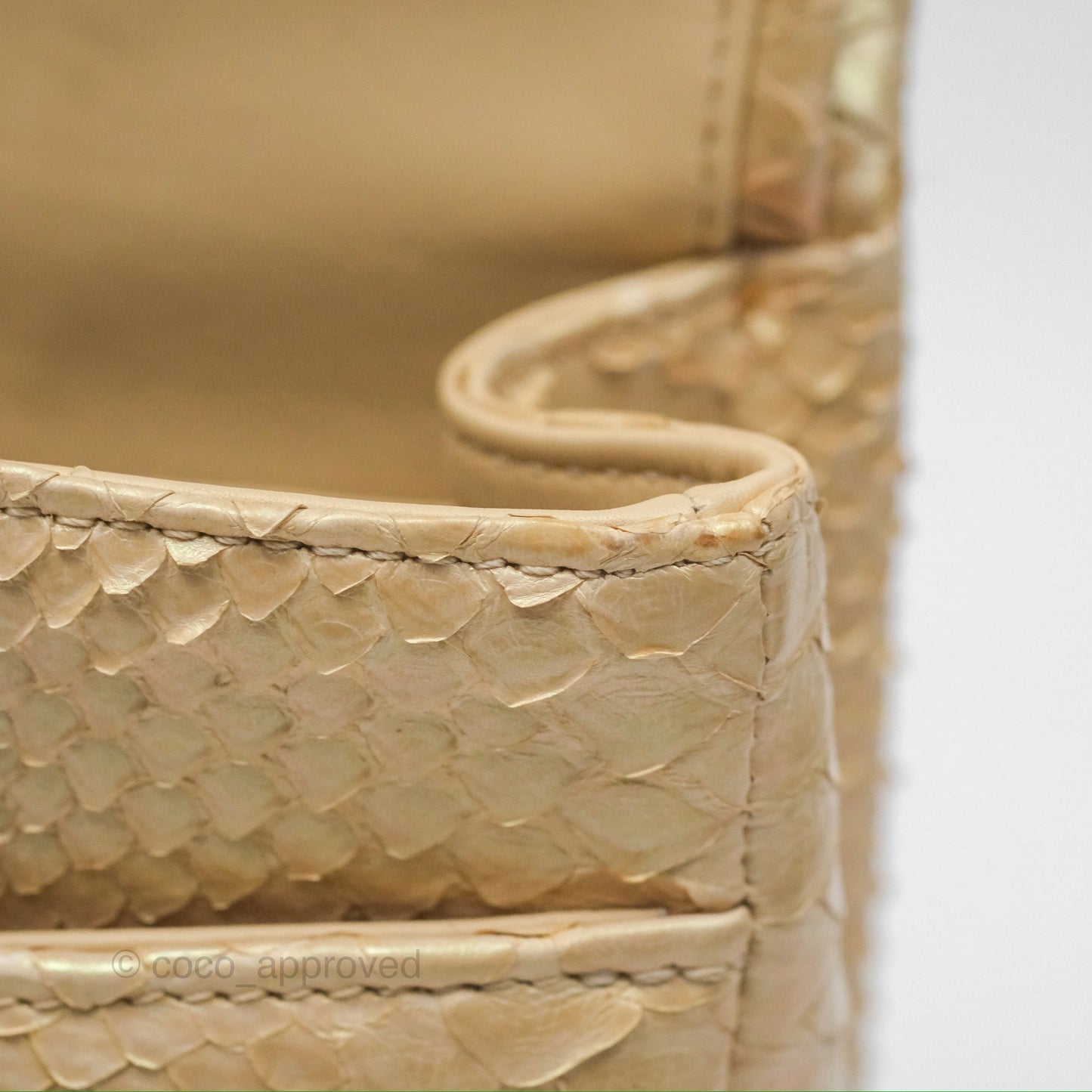 Chanel Jumbo Double Flap Iridescent Gold Python Gold Hardware⁣⁣