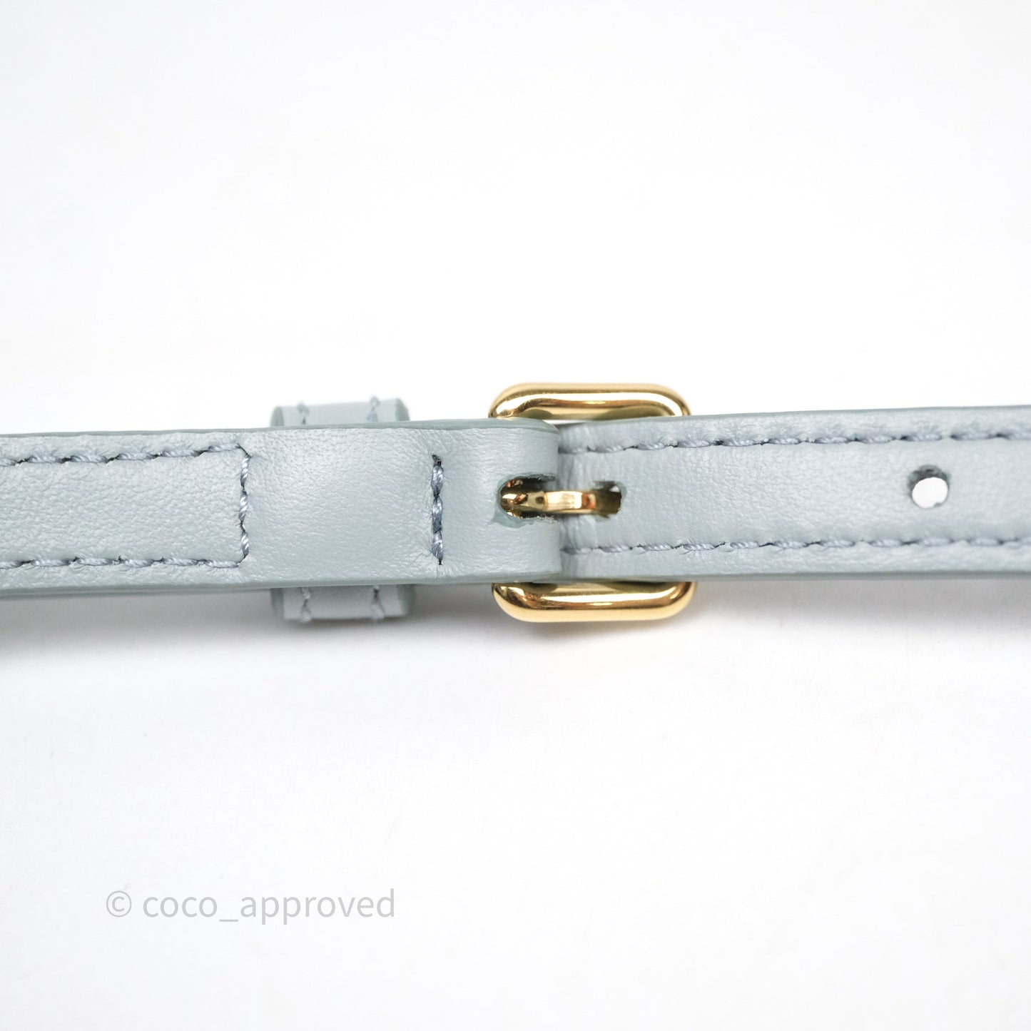 Miu Miu Arcadie Mini Bag Lago Blue Gold Hardware