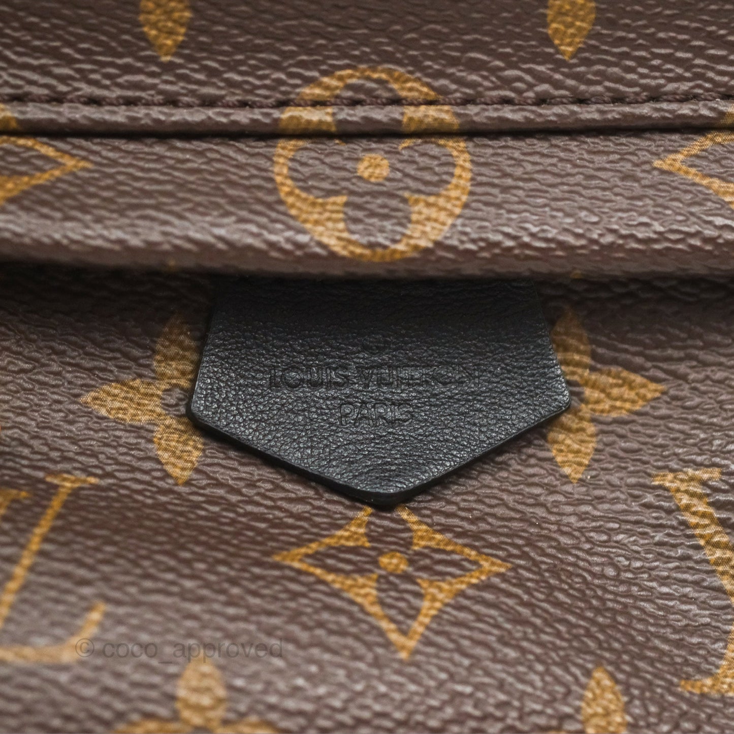 Louis Vuitton Mini Palm Springs Backpack⁣ Monogram