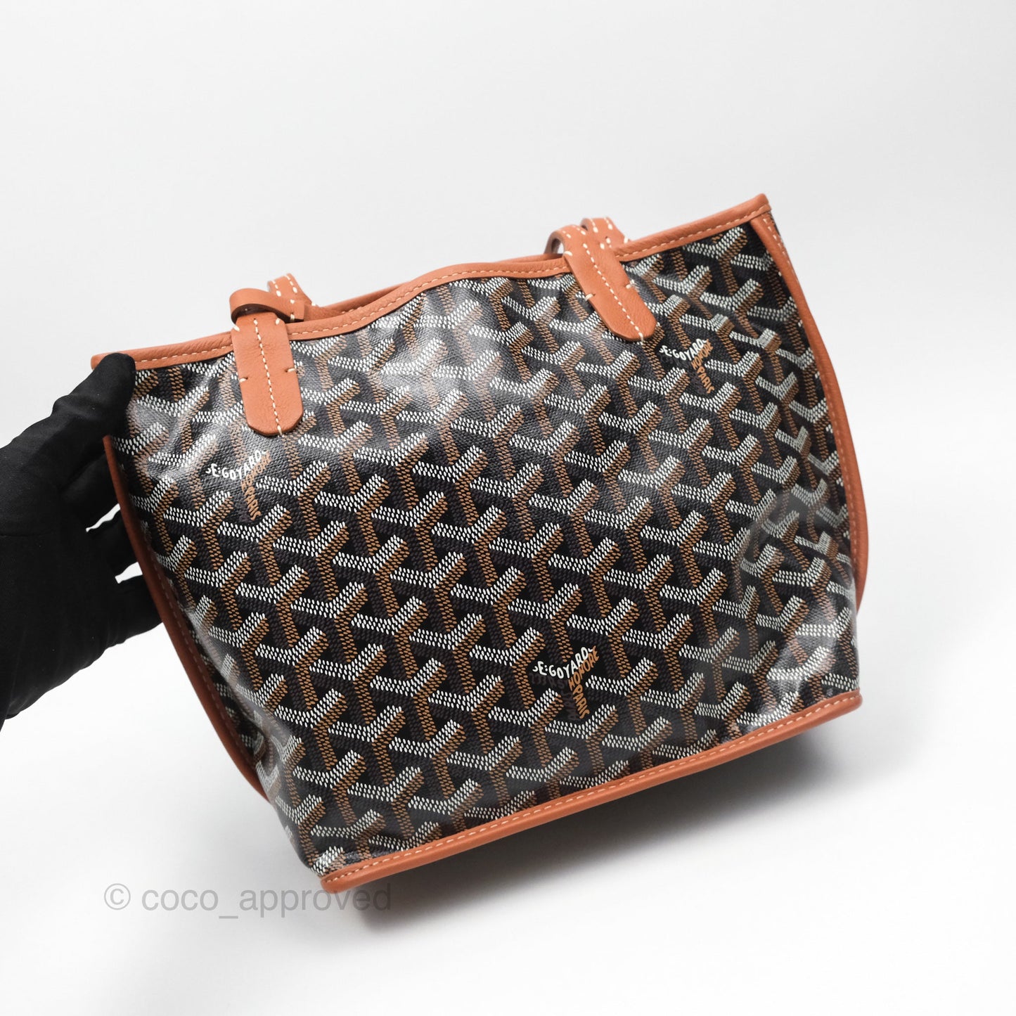 Goyard Anjou Mini Bag Goyardine Canvas Black/ Tan