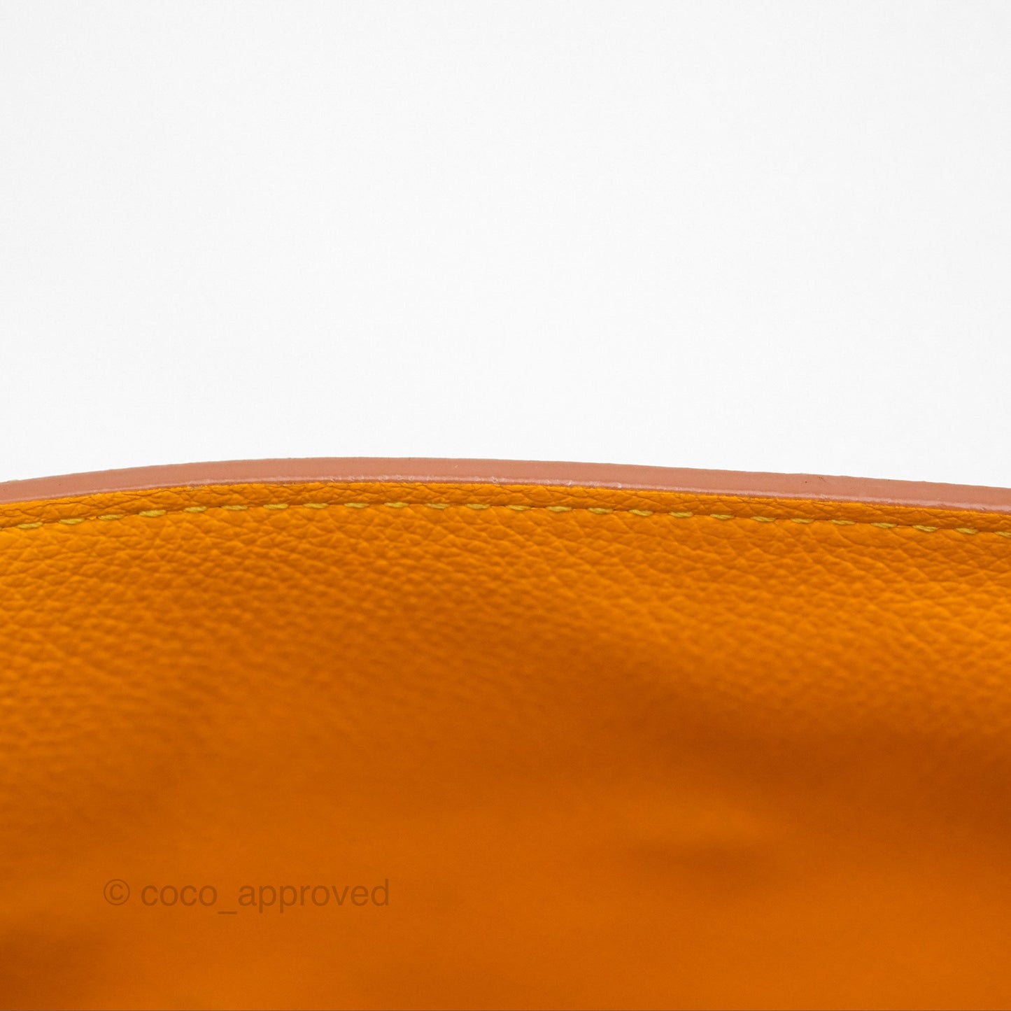 Goyard Saïgon Mini Bag Tan Goyardine Canvas/Chevroches Calfskin