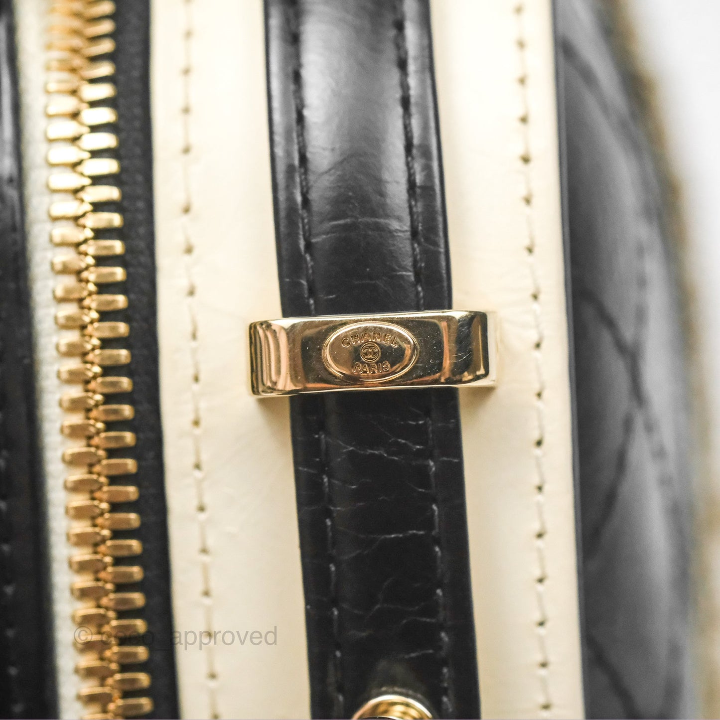 Chanel Camera Case Bag Black/White Calfskin Gold Hardware
