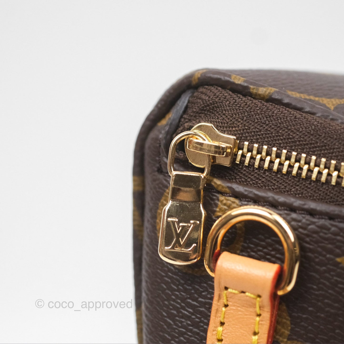Louis Vitton Mini Bumbag in Monogram Canvas