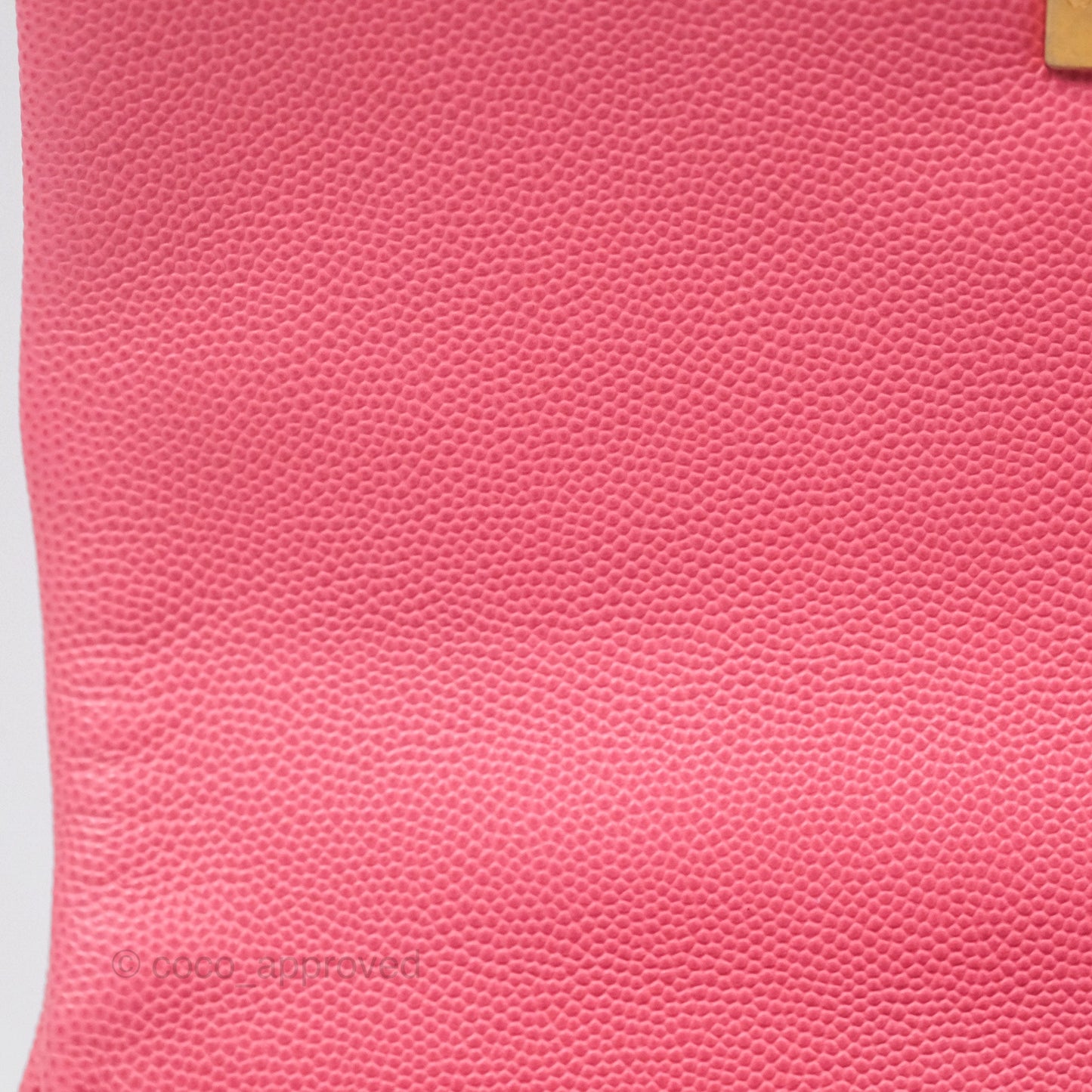 Chanel Small Coco Handle Quilted Pink Caviar Aged Gold Hardware Lizard Handle