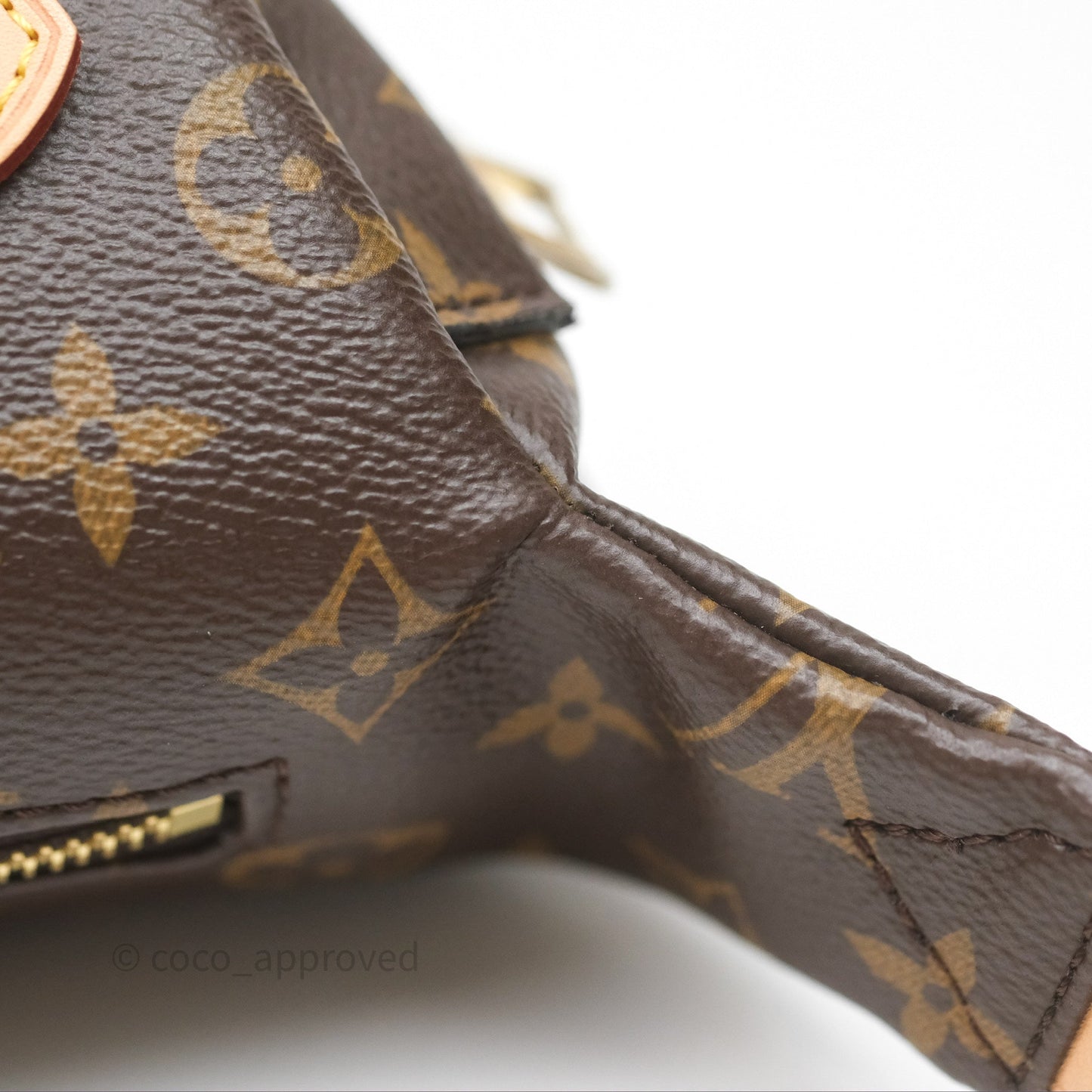 Louis Vuitton Bum Bag Monogram Canvas