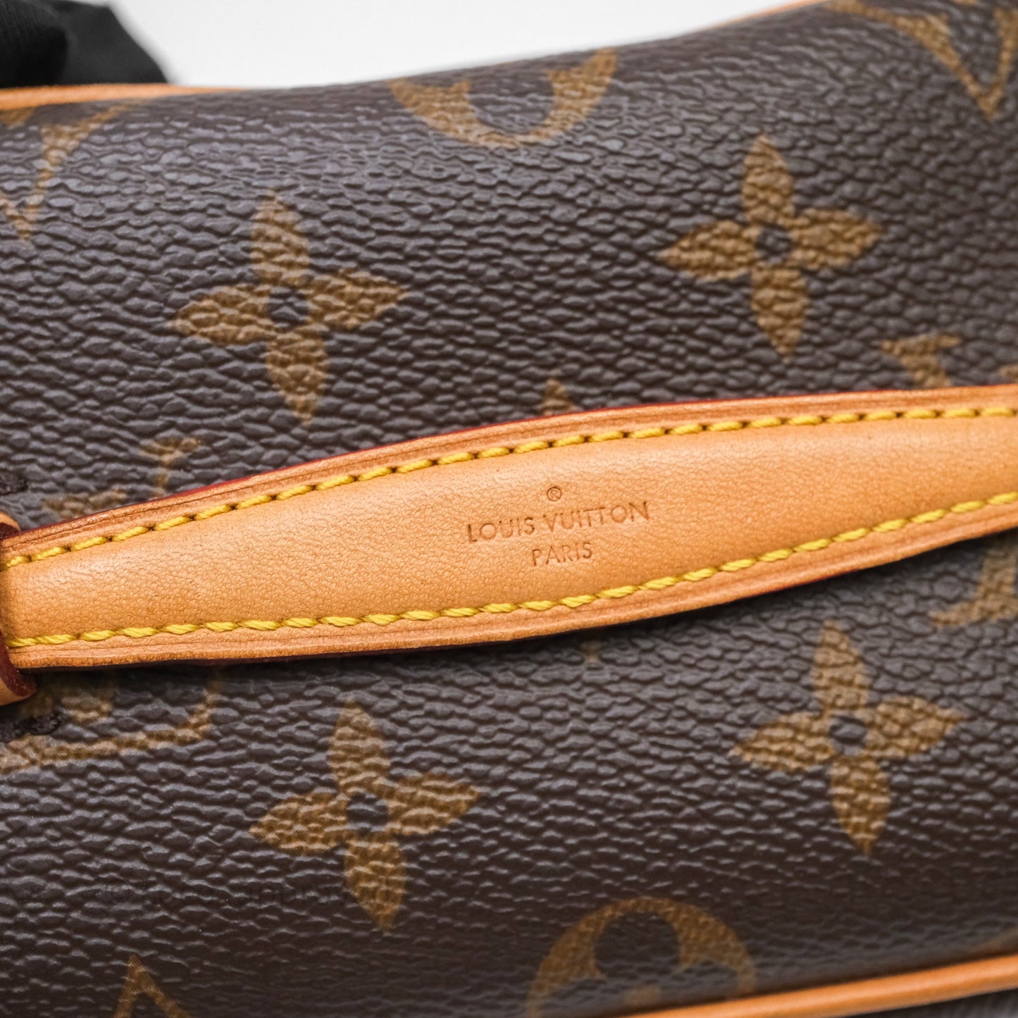 Louis Vuitton Nice Nano Monogram Canvas