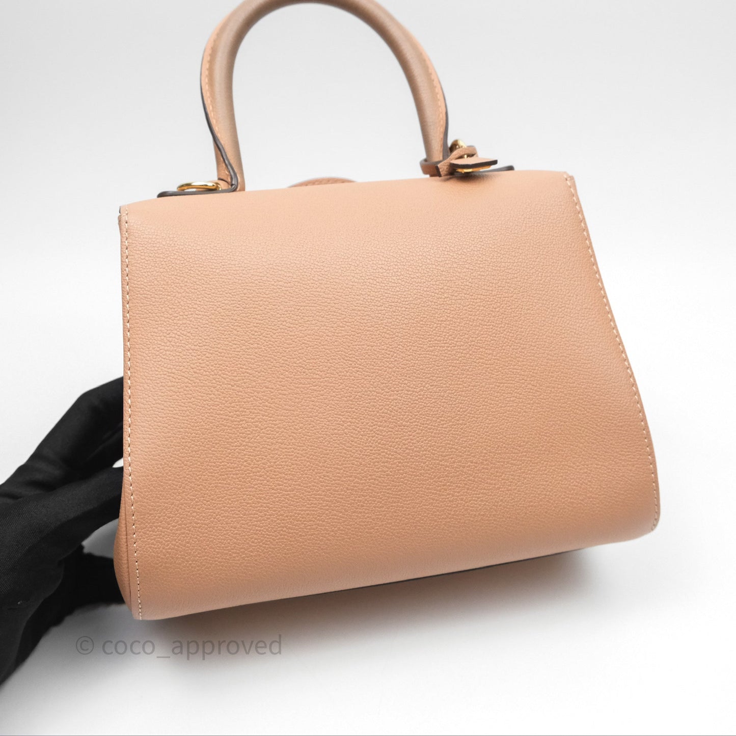 Delvaux Mini Brillant Bag Vison Grained Calfskin Gold Hardware with Twilly