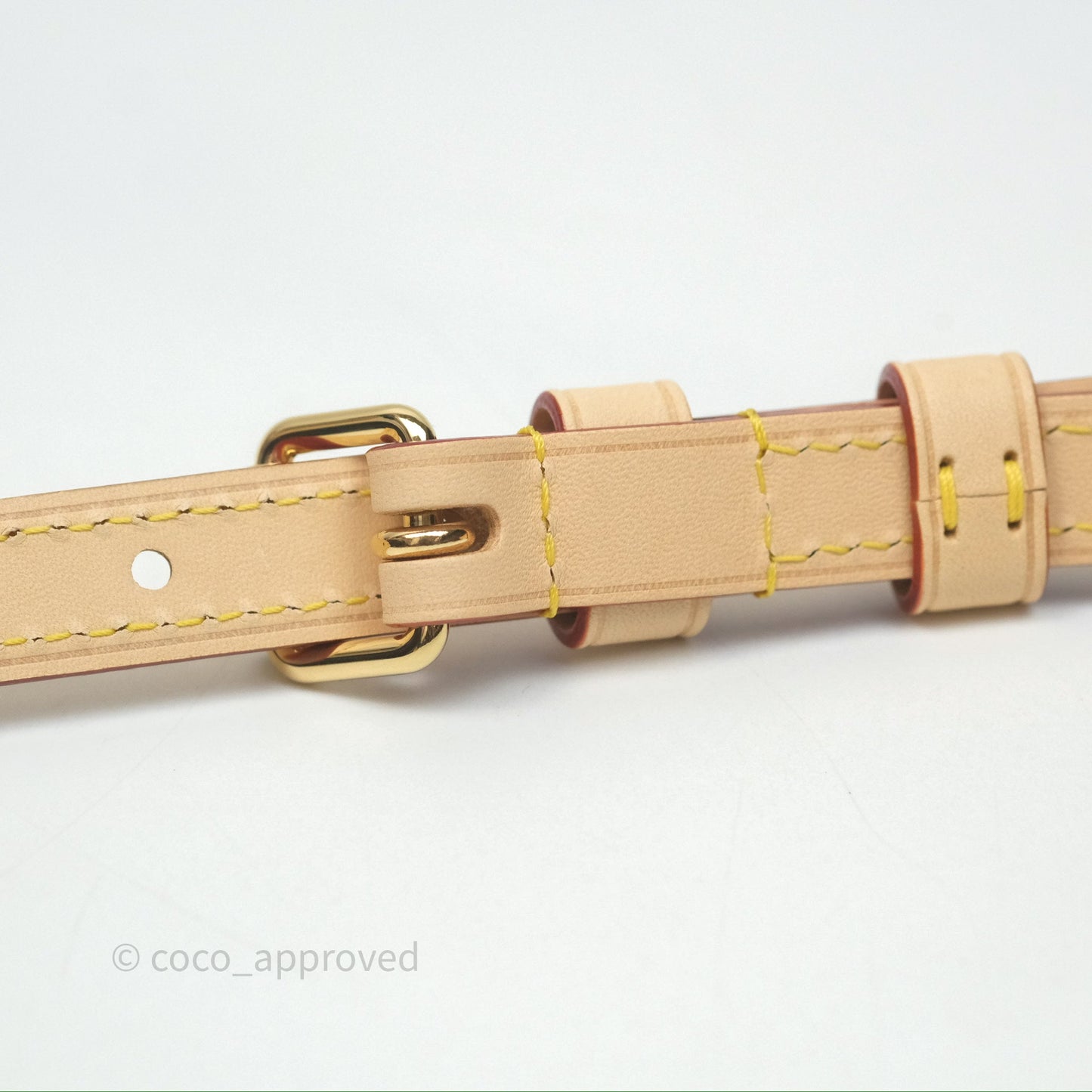 Louis Vuitton LV x Murakami Speedy Bandoulière 20 Monogram