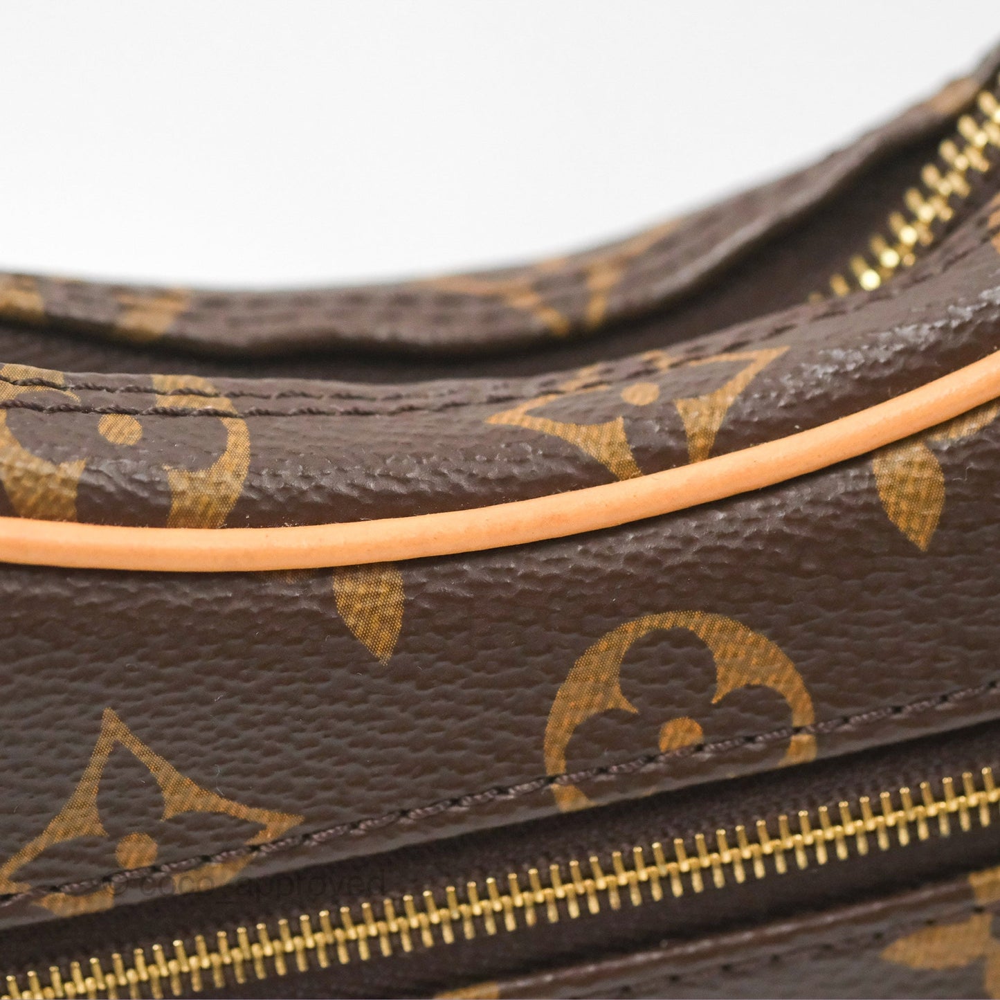 Louis Vuitton Loop Monogram Canvas