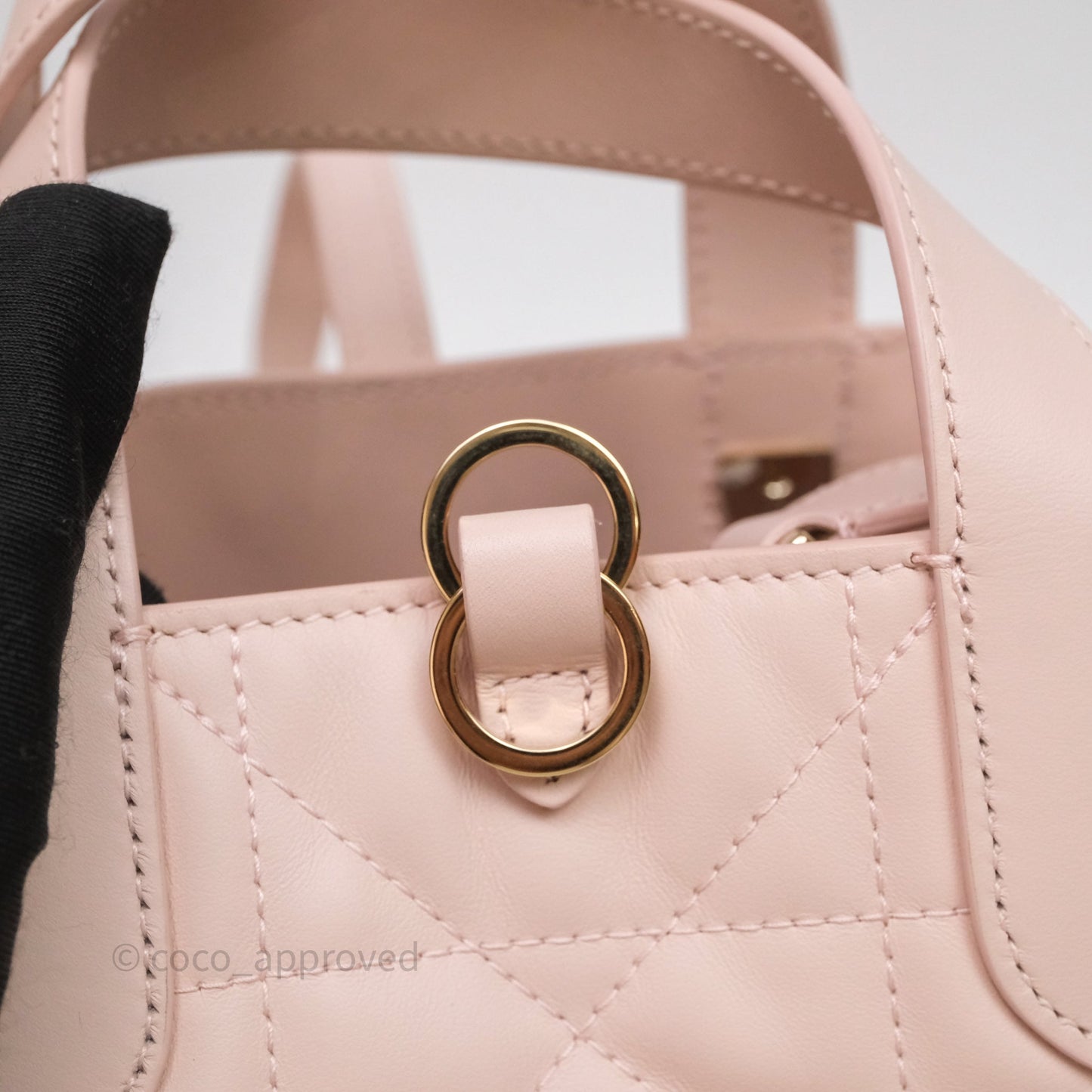 Christian Dior Toujours Vertical Nano Tote Bag Pink