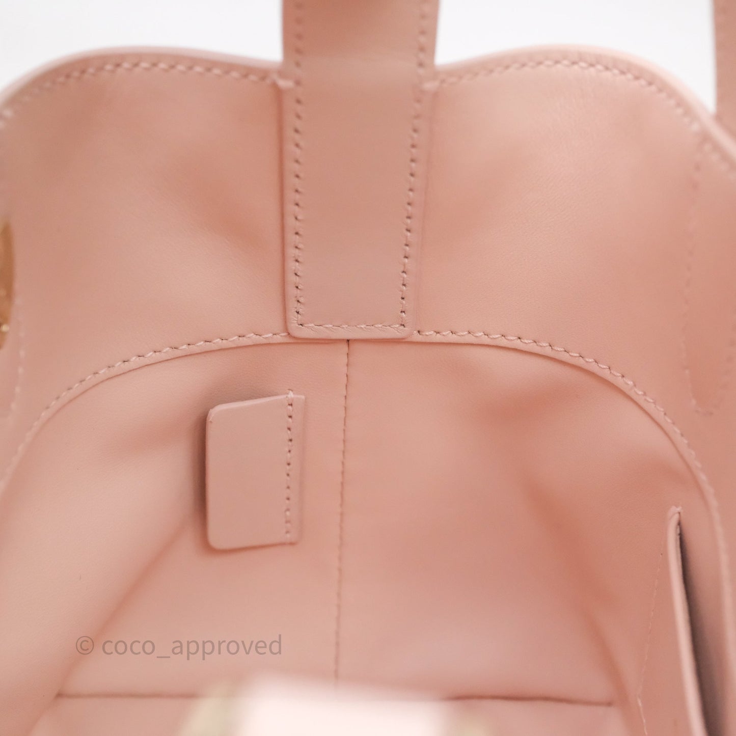 Christian Dior Toujours Vertical Nano Tote Bag Pink