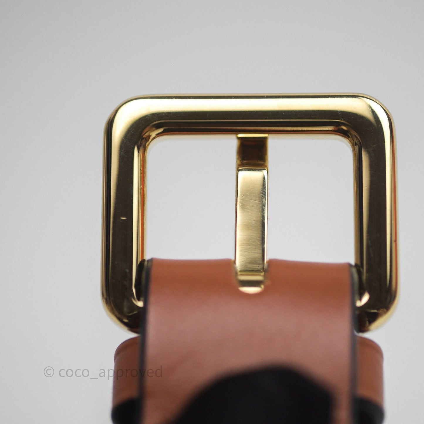 Loewe Mini Gate Belt Bag in Soft Calfskin Brown