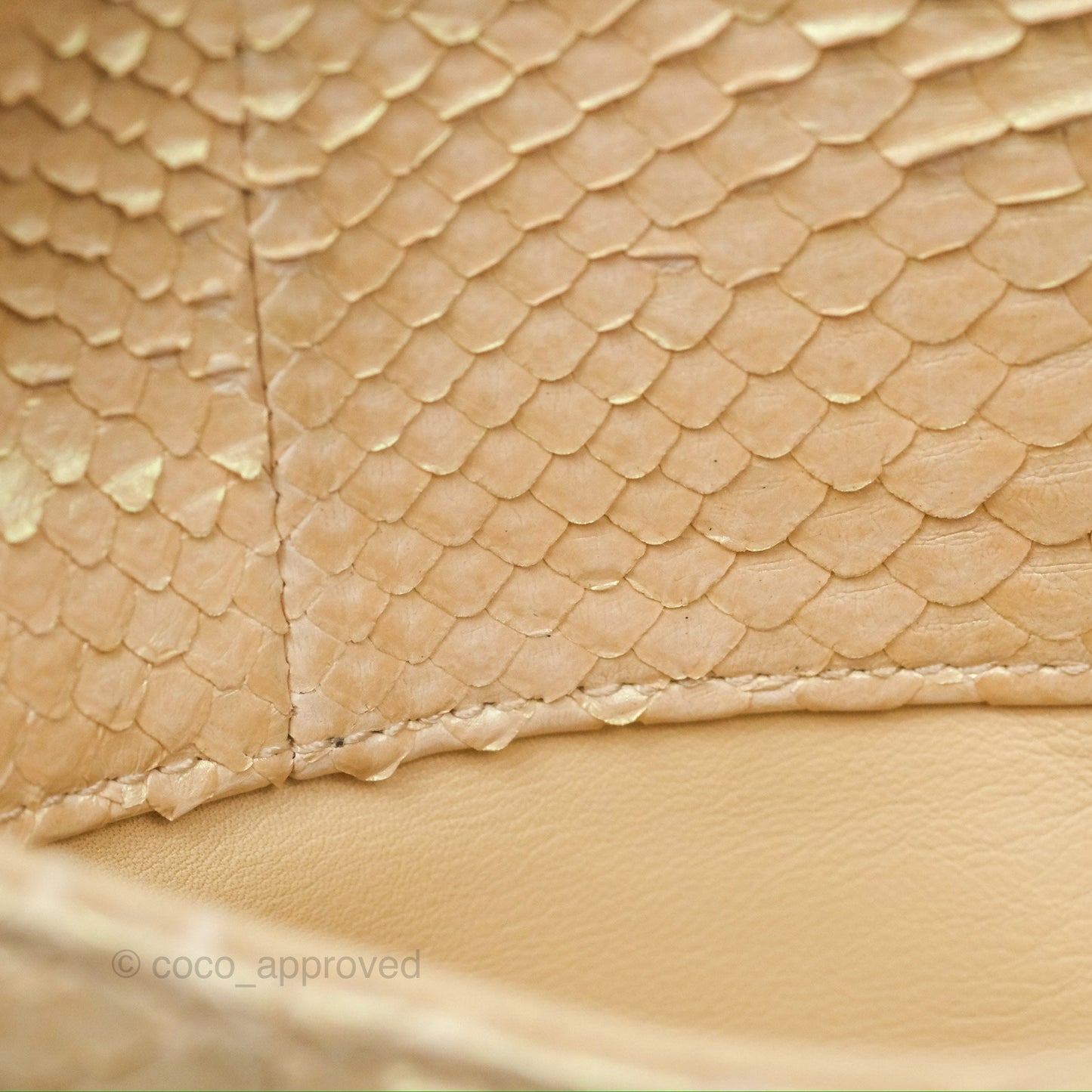 Chanel Jumbo Double Flap Iridescent Gold Python Gold Hardware⁣⁣