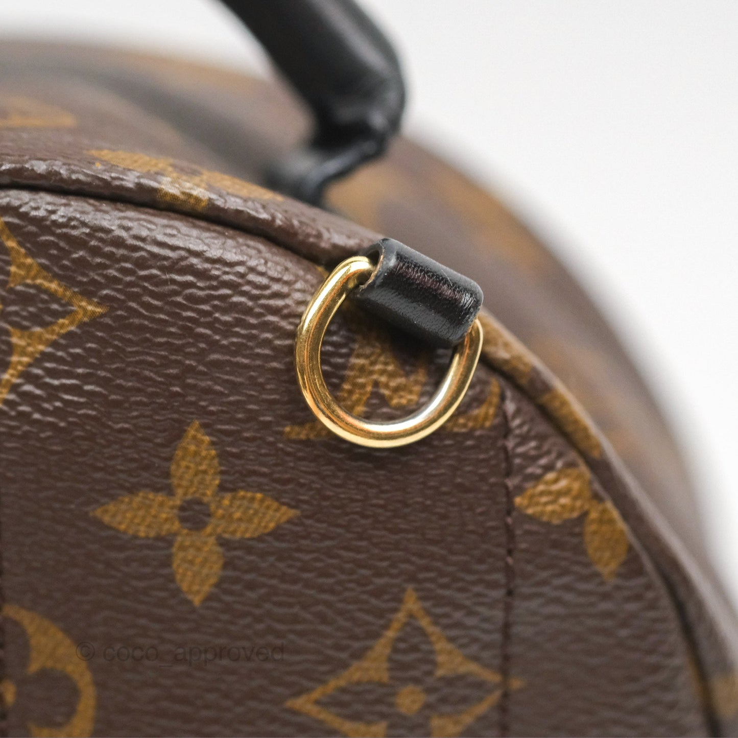 Louis Vuitton Mini Palm Springs Backpack⁣ Monogram