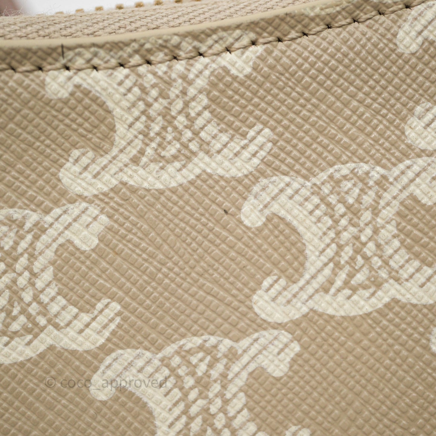 Celine Ava Bag In Triomphe Canvas Calfskin Grege