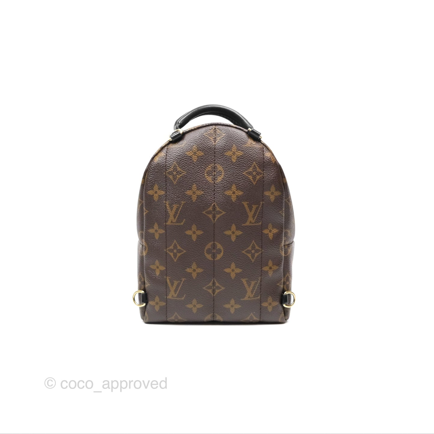 Louis Vuitton Mini Palm Springs Backpack⁣ Monogram
