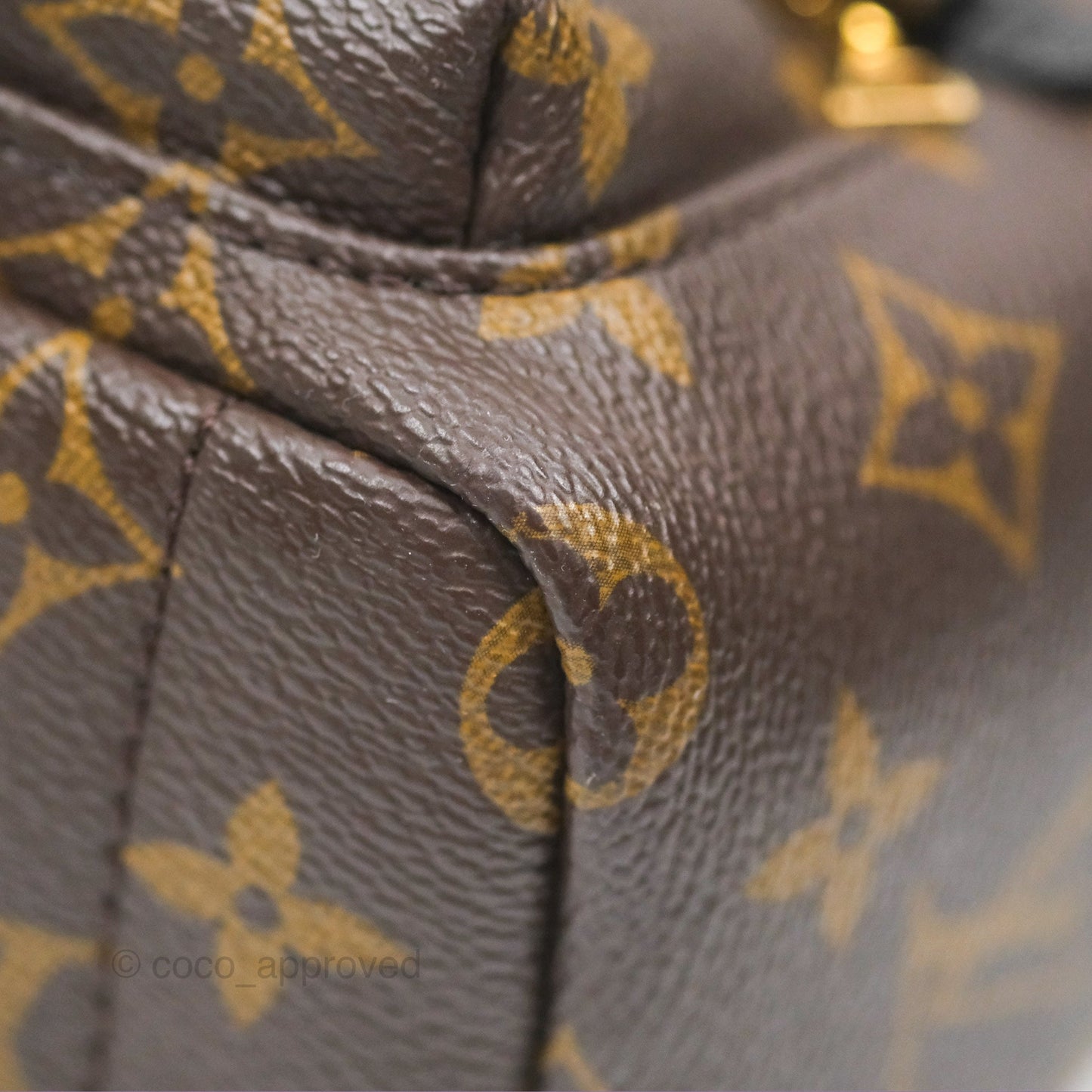 Louis Vuitton Mini Palm Springs Backpack⁣ Monogram