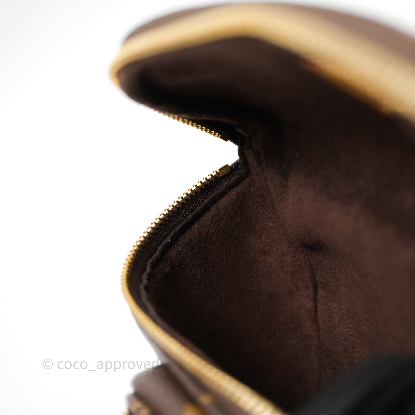 Louis Vitton Mini Bumbag in Monogram Canvas