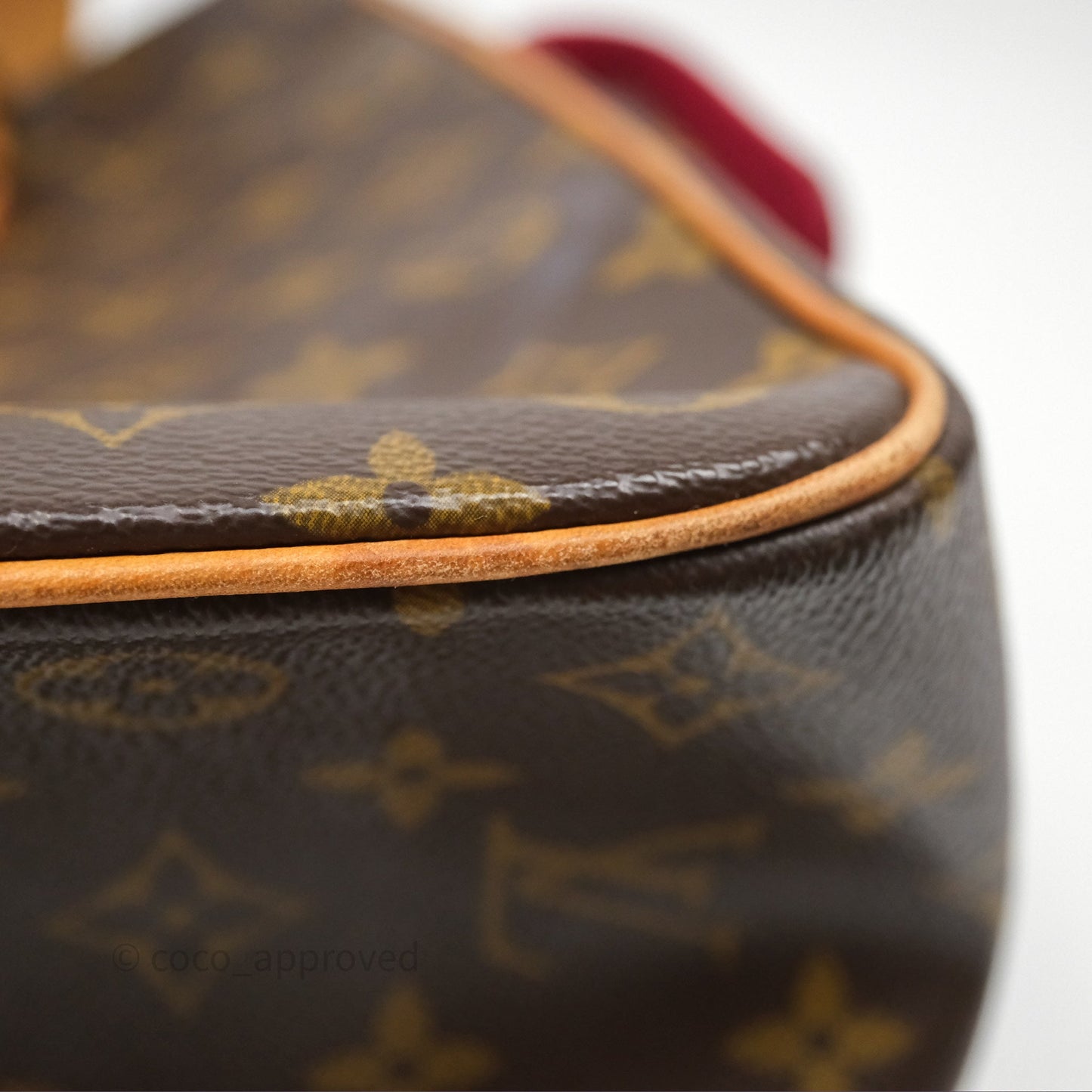 Louis Vuitton Multipli-Cite Tote Monogram Canvas