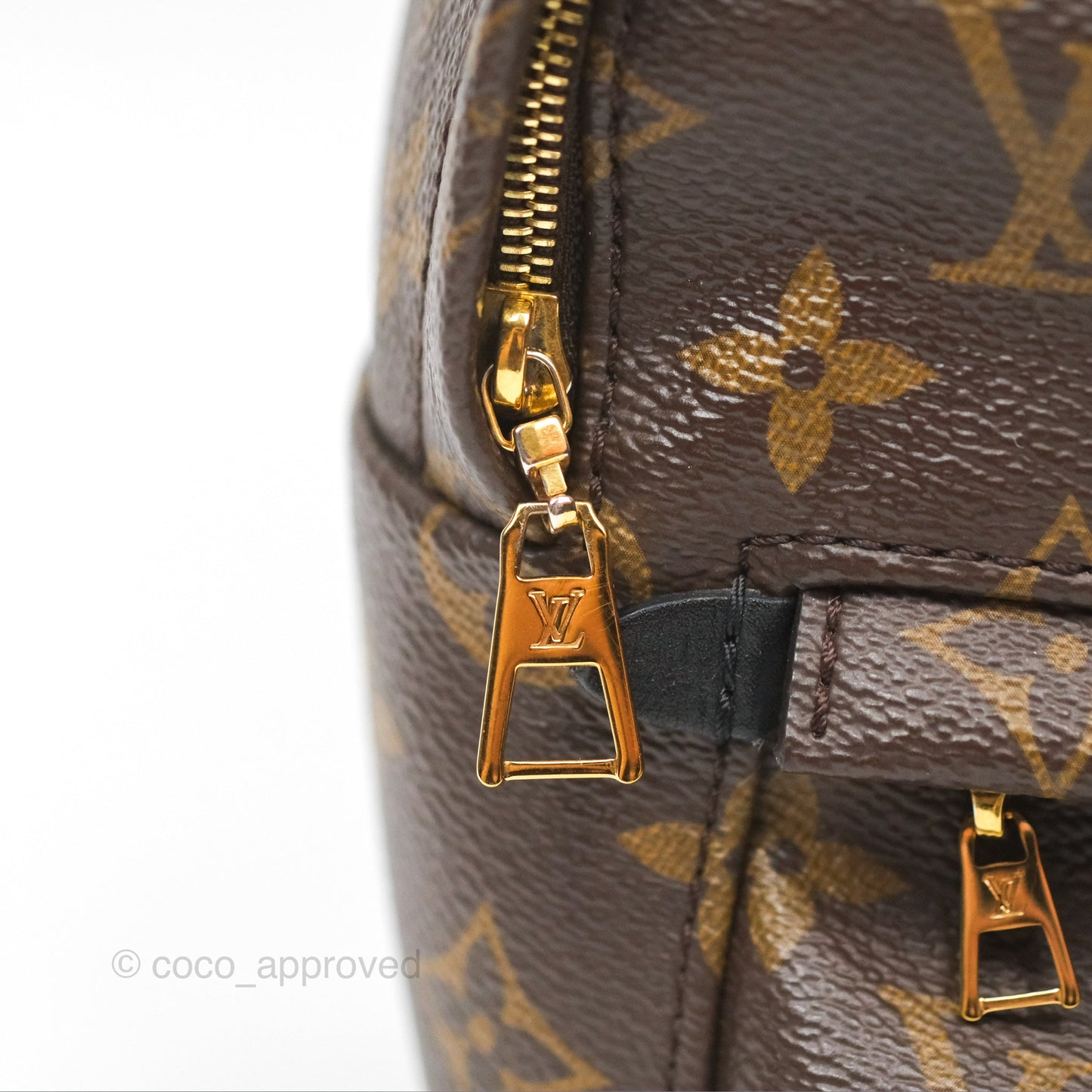Louis Vuitton Mini Palm Springs Backpack⁣ Monogram