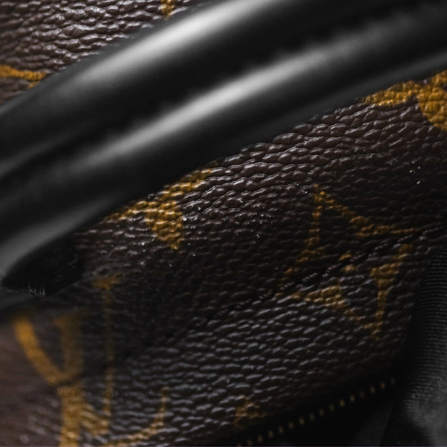 Louis Vuitton Monogram Mini Palm Springs Backpack⁣