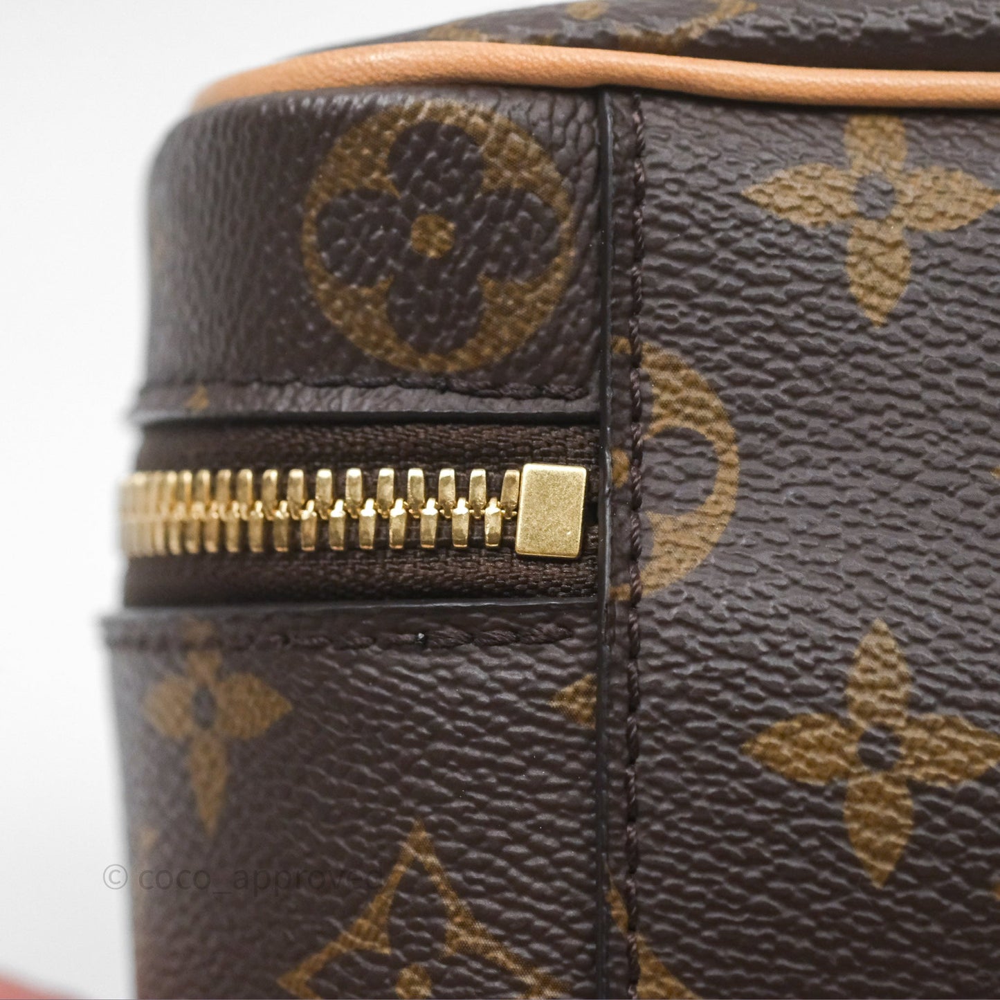 Louis Vuitton Monogram Nice Nano