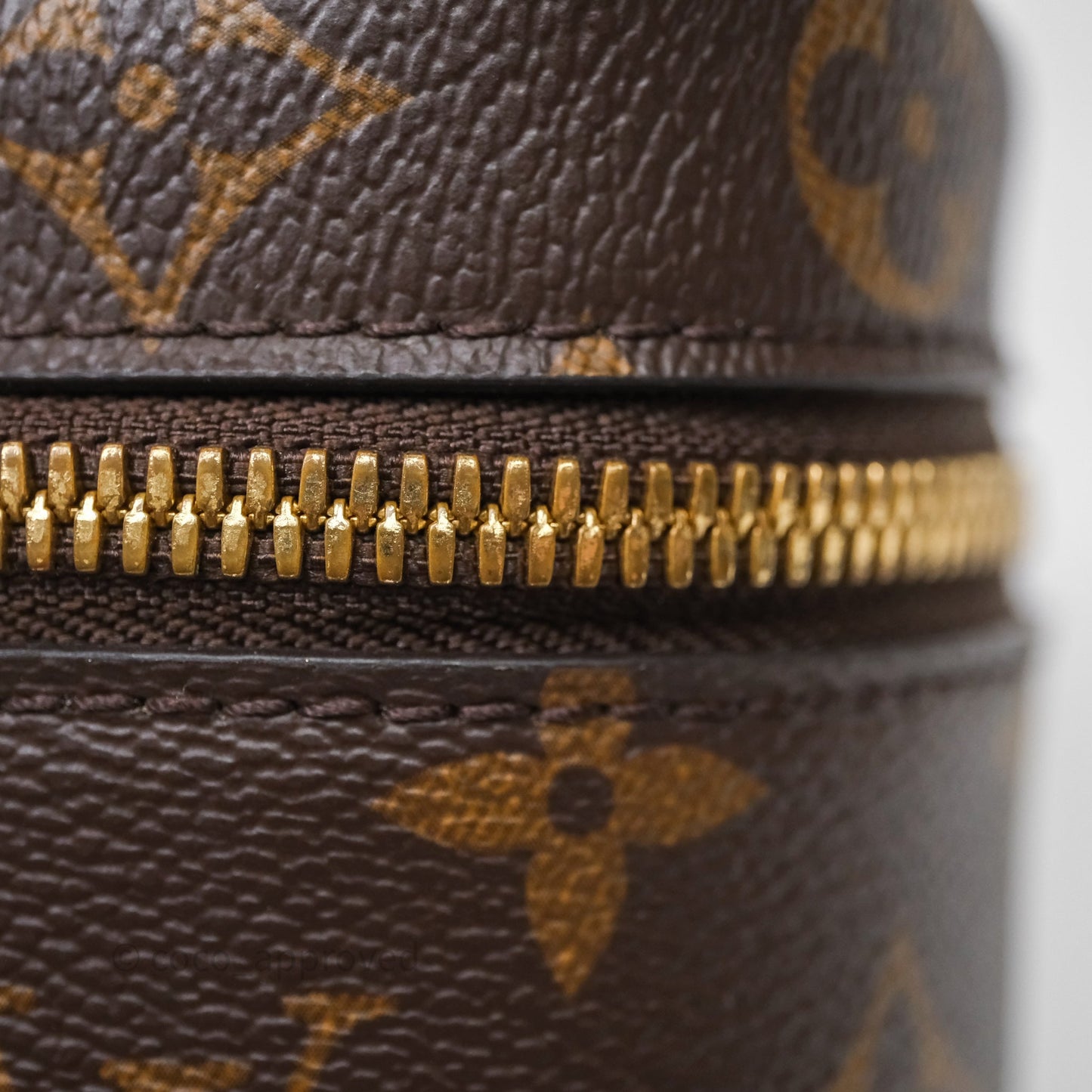 Louis Vuitton Nice Nano Monogram Canvas