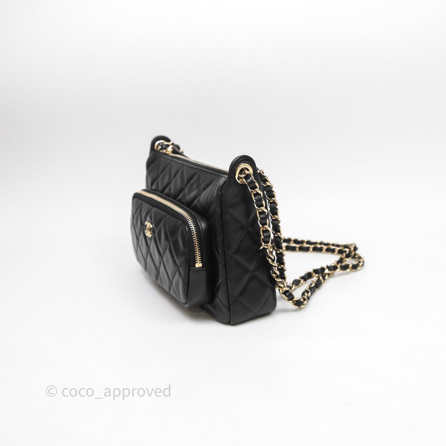 Chanel Camera Bag Black Lambskin Gold Hardware 25C