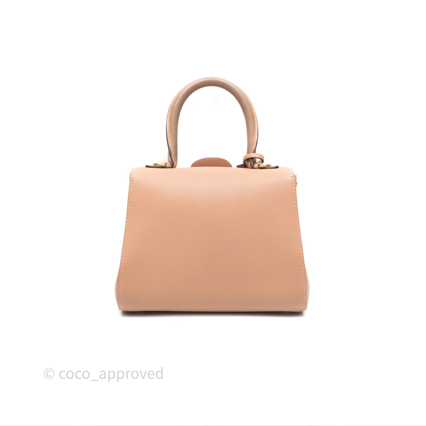 Delvaux Mini Brillant Bag Vison Grained Calfskin Gold Hardware with Twilly
